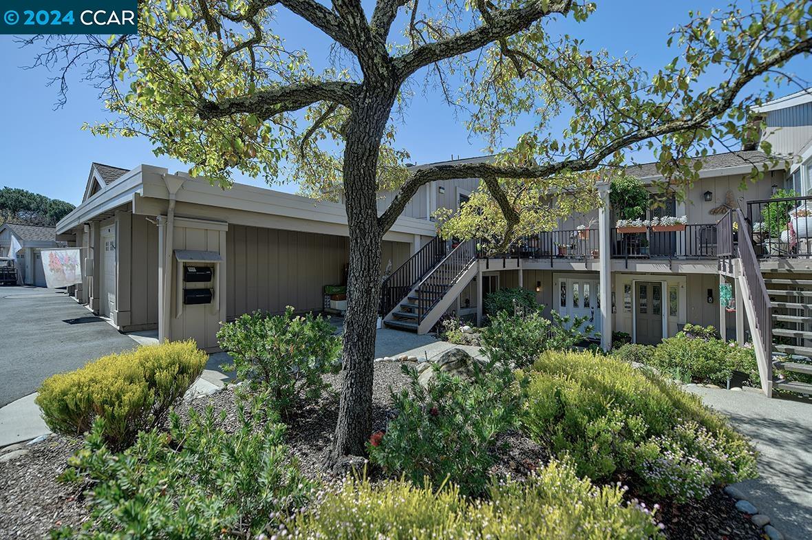 Detail Gallery Image 38 of 55 For 1975 Cactus Ct #2,  Walnut Creek,  CA 94595 - 1 Beds | 1 Baths
