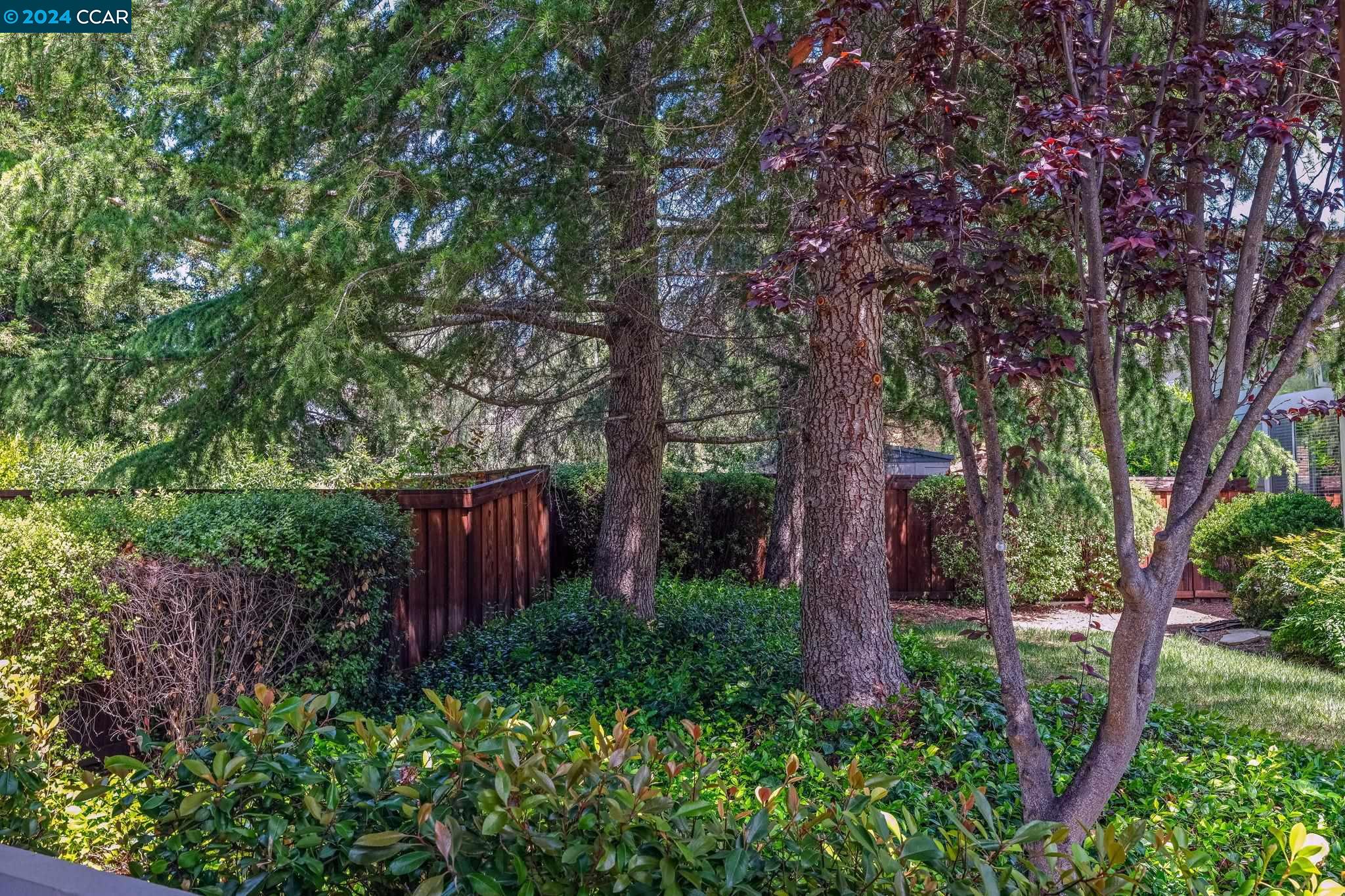 Detail Gallery Image 3 of 35 For 720 Anizumne Ct, Clayton,  CA 94517 - 3 Beds | 2/1 Baths