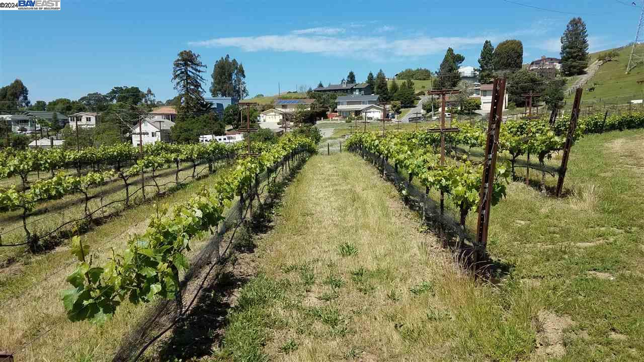 Detail Gallery Image 4 of 27 For 0 Fairview Dr., Hayward,  CA 94542 - – Beds | – Baths