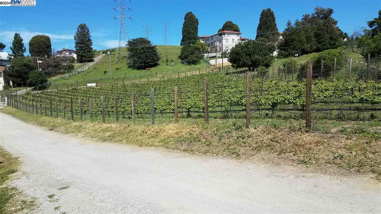 Detail Gallery Image 9 of 27 For 0 Fairview Dr., Hayward,  CA 94542 - – Beds | – Baths