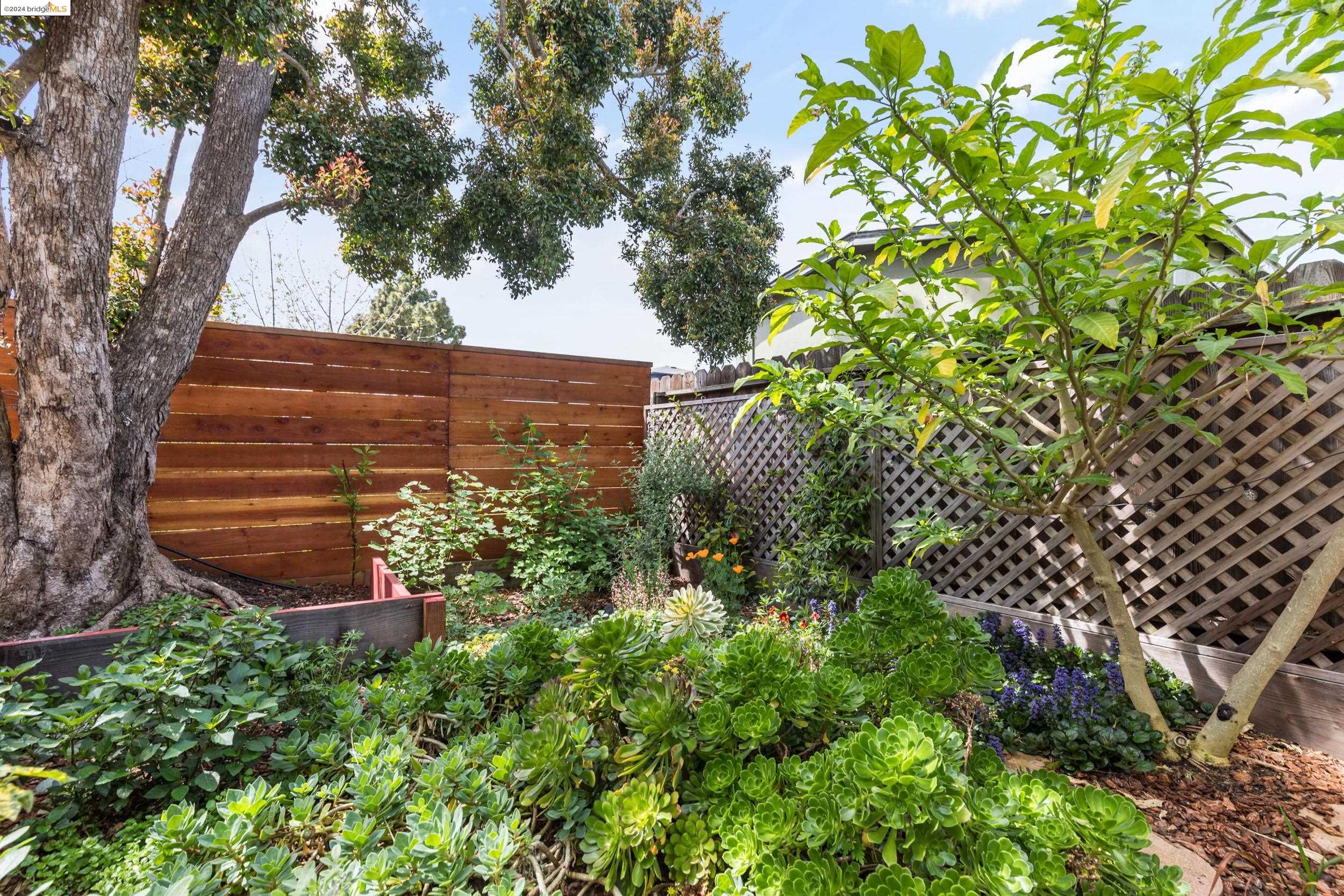 Detail Gallery Image 33 of 34 For 1431 Derby St, Berkeley,  CA 94702 - 3 Beds | 2 Baths