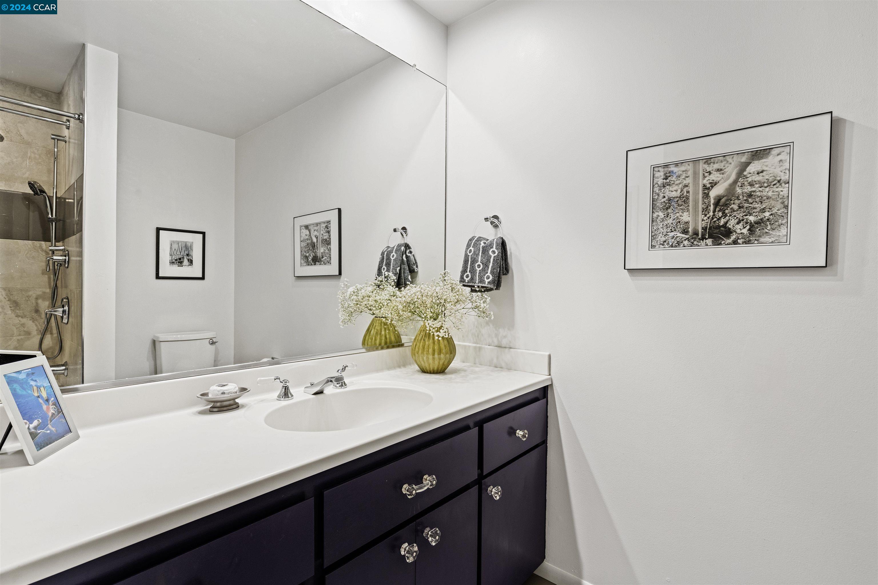 Detail Gallery Image 29 of 60 For 1810 Central Ave #206,  Alameda,  CA 94501 - 2 Beds | 2 Baths