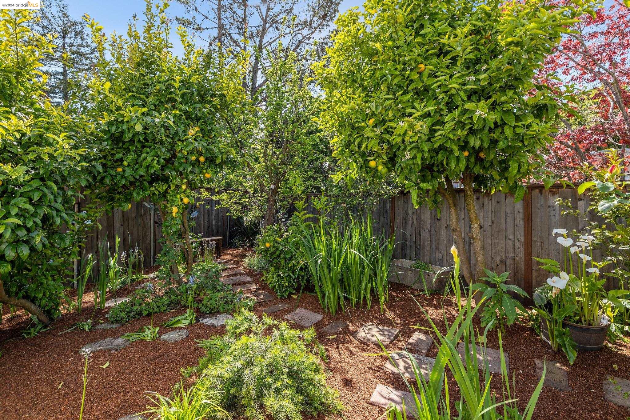 Detail Gallery Image 49 of 60 For 1106 Colusa Ave, Berkeley,  CA 94707 - 4 Beds | 2/1 Baths