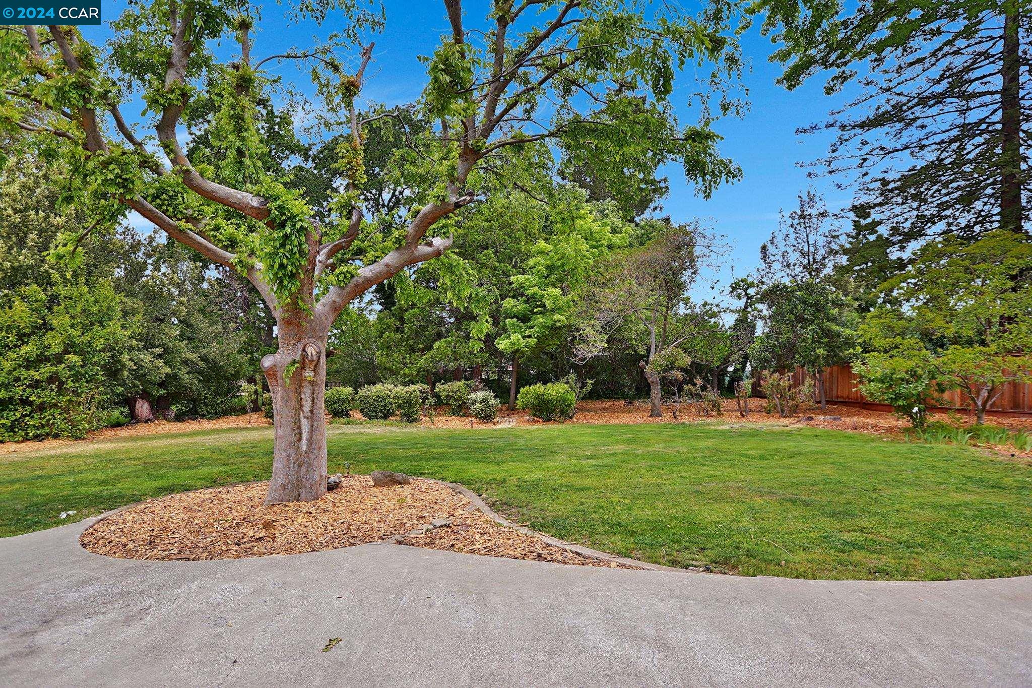 Detail Gallery Image 53 of 60 For 3565 Ridgewood Ct, Concord,  CA 94518 - 4 Beds | 2/1 Baths