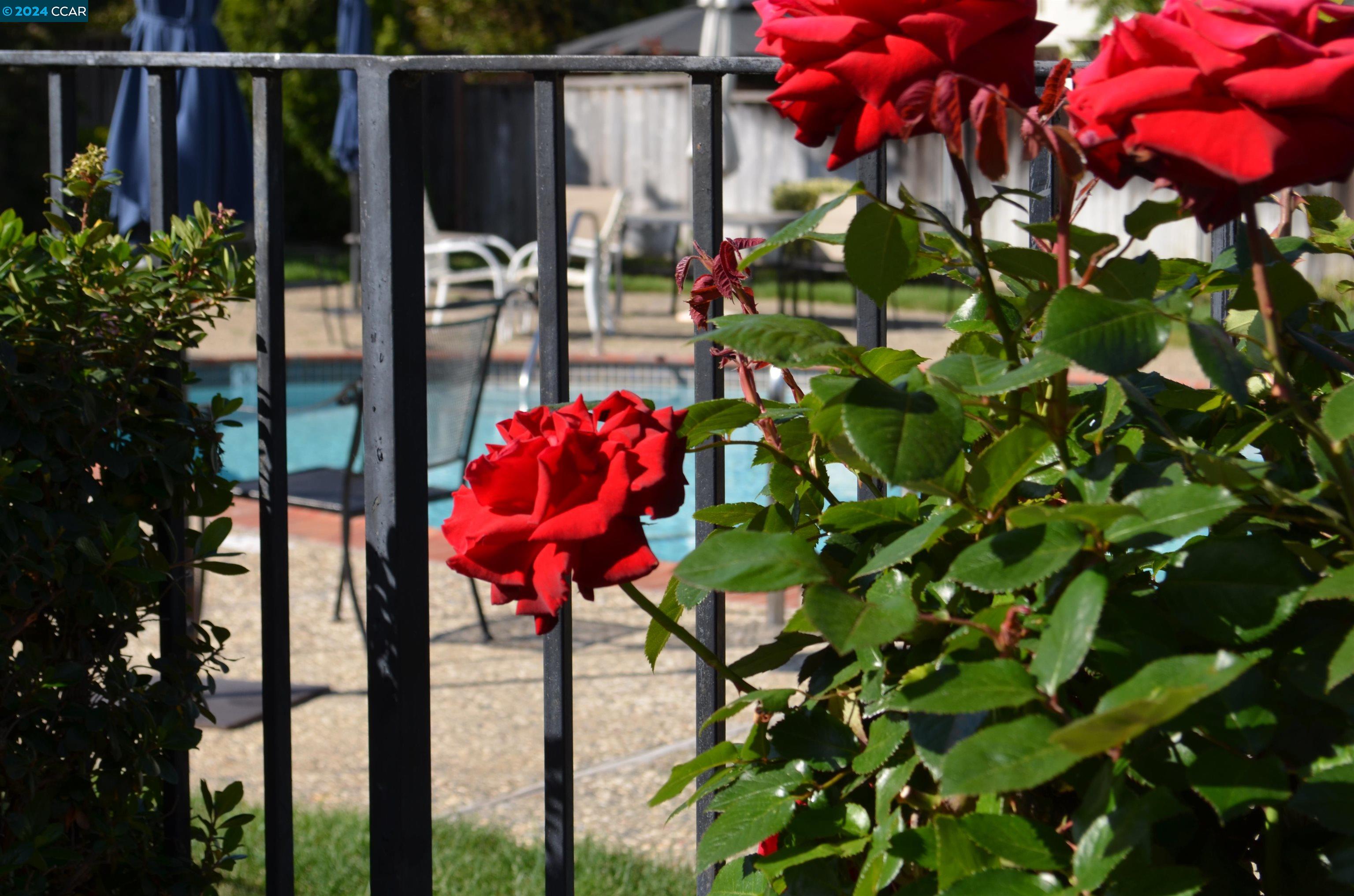 Photo #4: 41058048 Listing 
