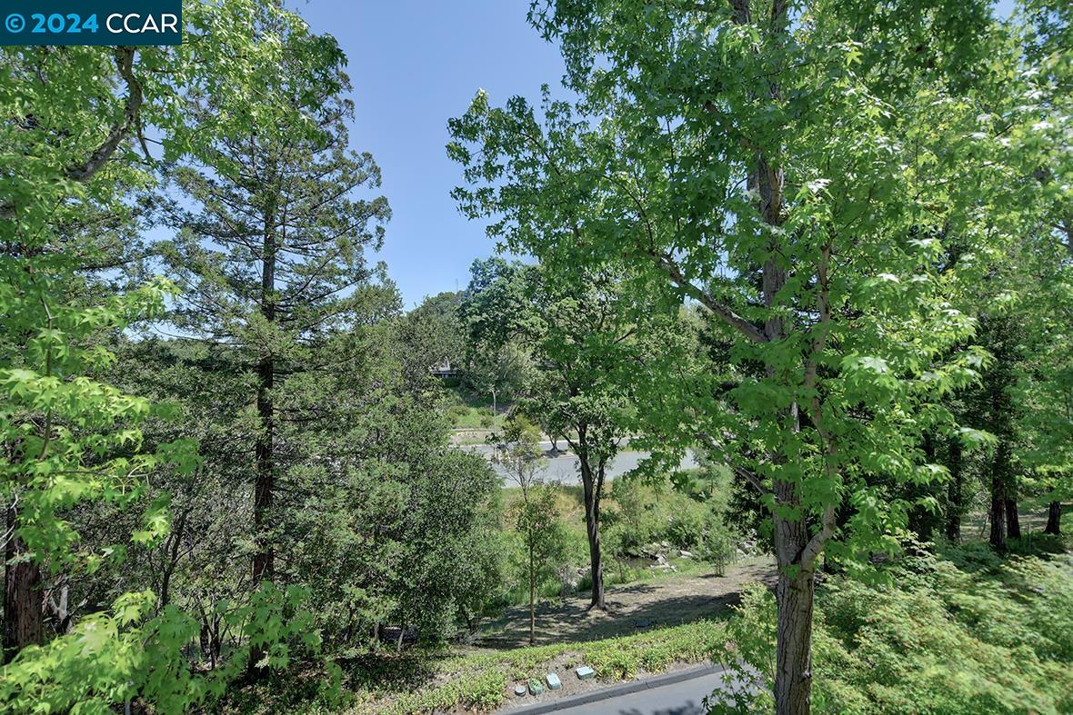 Photo #5: 41058732 Listing 