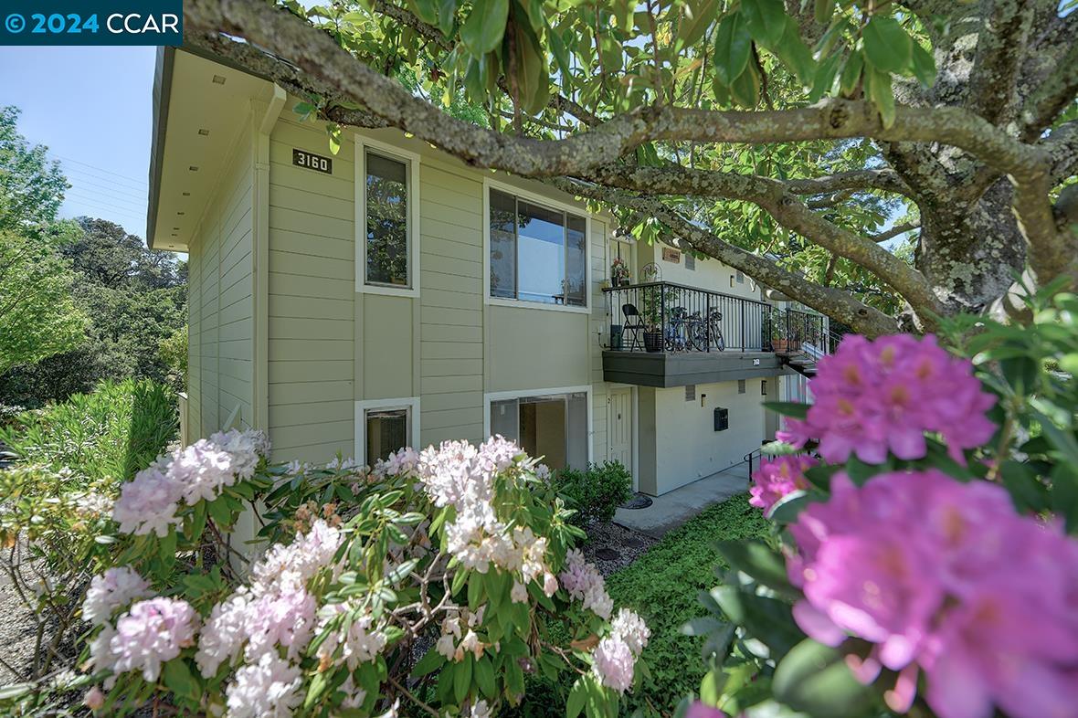 Detail Gallery Image 1 of 1 For 3160 Ptarmigan Dr #2,  Walnut Creek,  CA 94595 - 1 Beds | 1 Baths