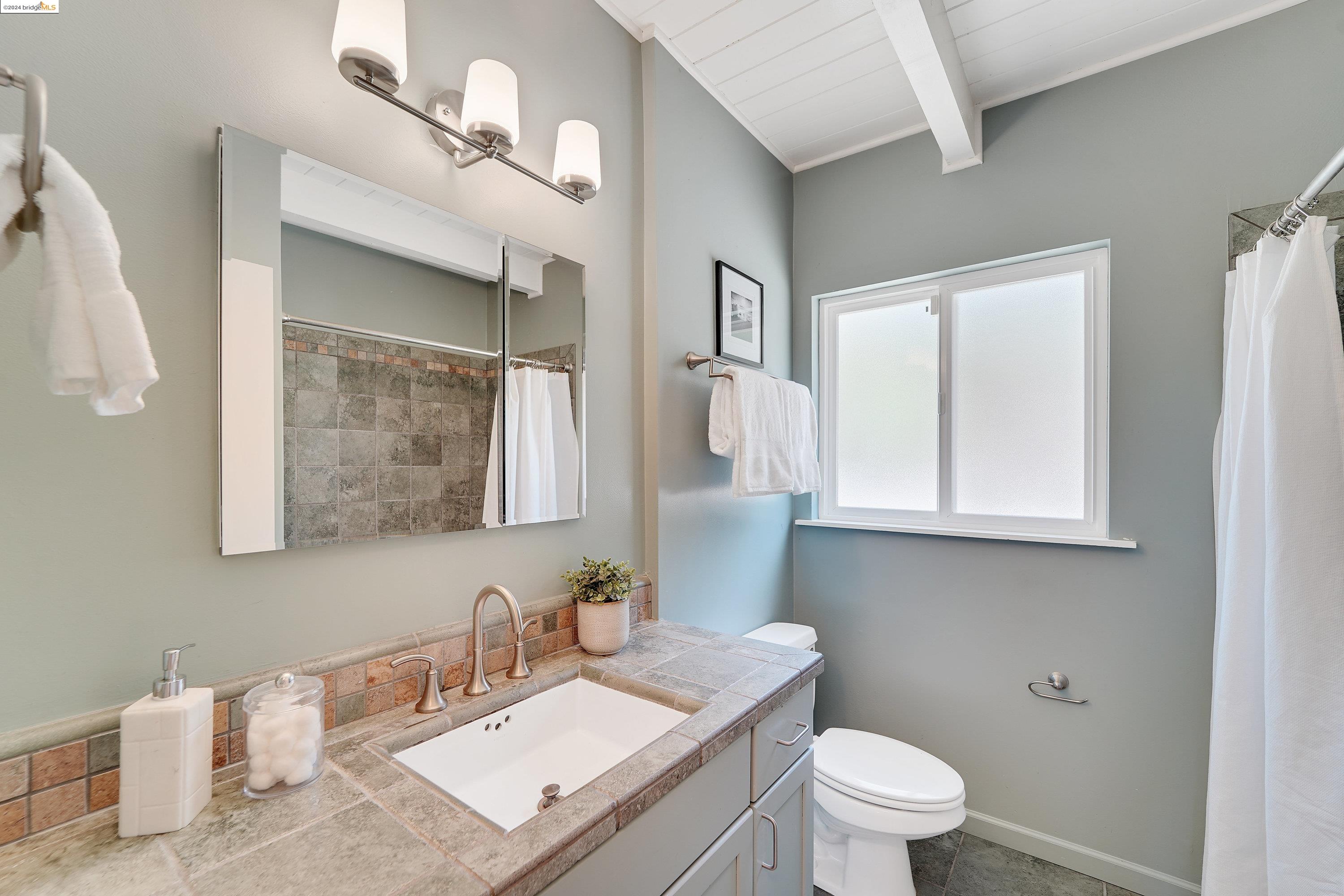 Detail Gallery Image 27 of 48 For 251 Stanford Ave, Kensington,  CA 94708-1103 - 3 Beds | 2/1 Baths
