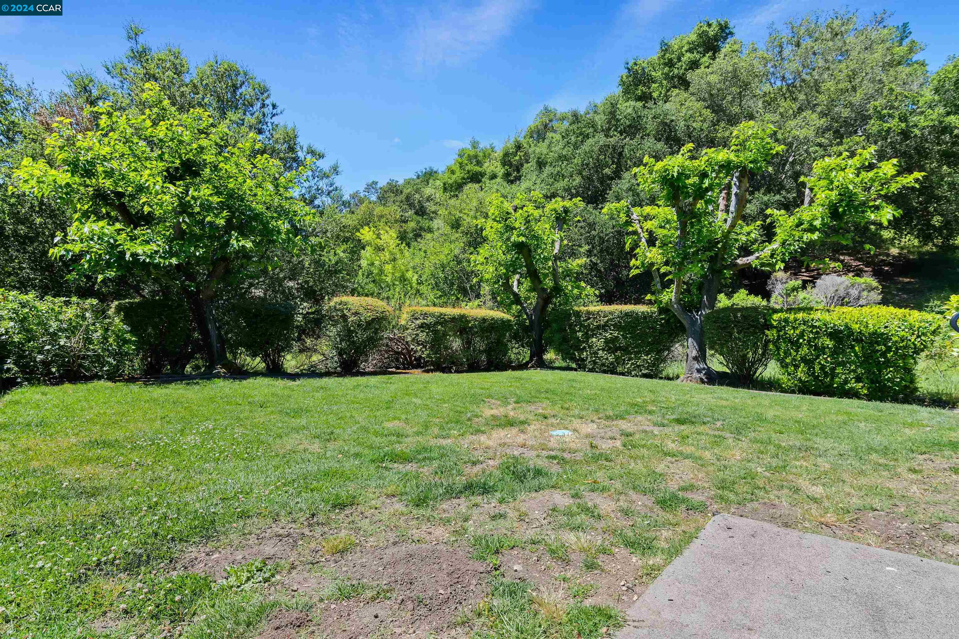 Photo #4: 41059193 Listing 