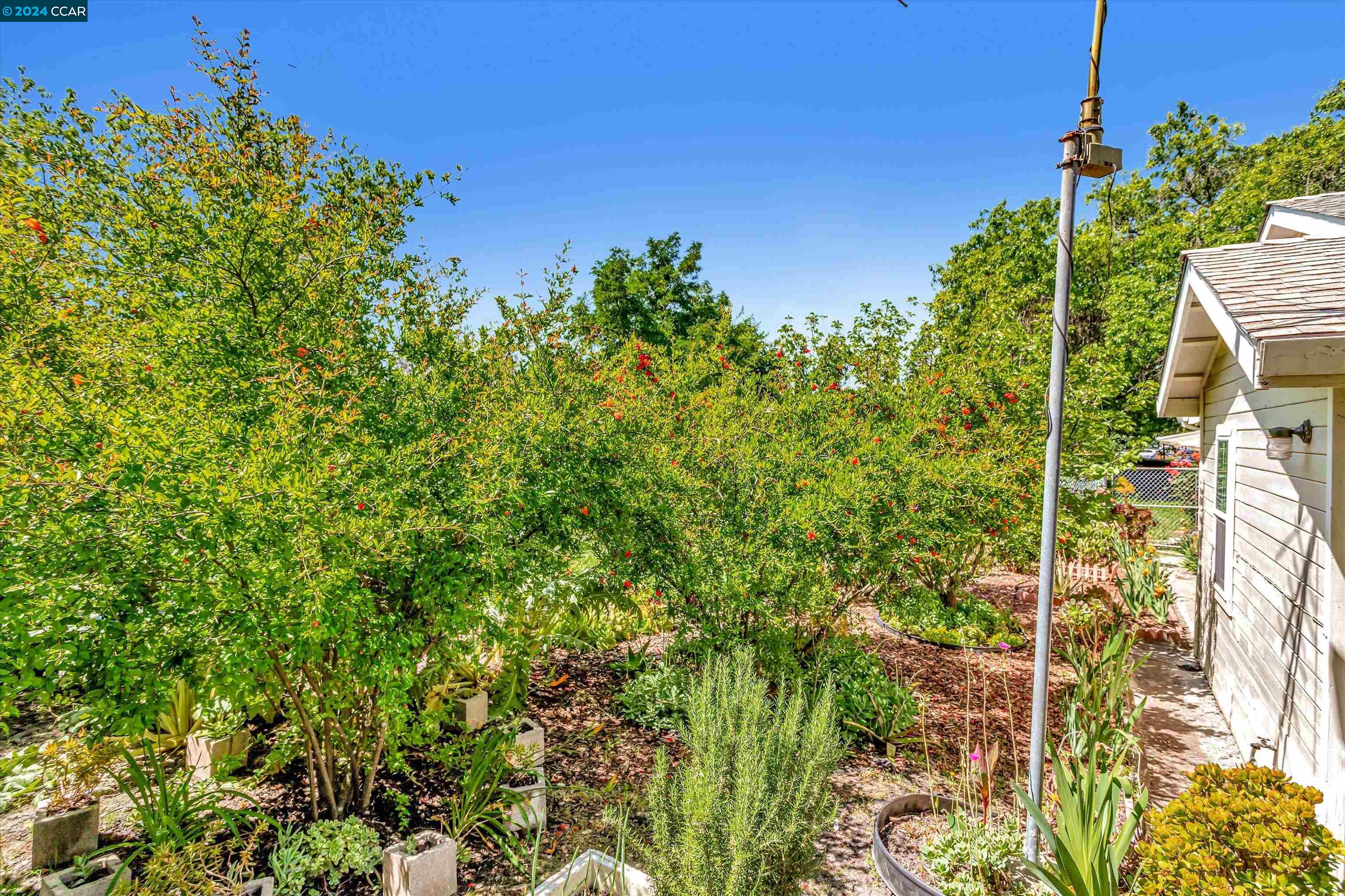 Detail Gallery Image 29 of 30 For 1824 Ascot Ct, Concord,  CA 94520 - 3 Beds | 2 Baths