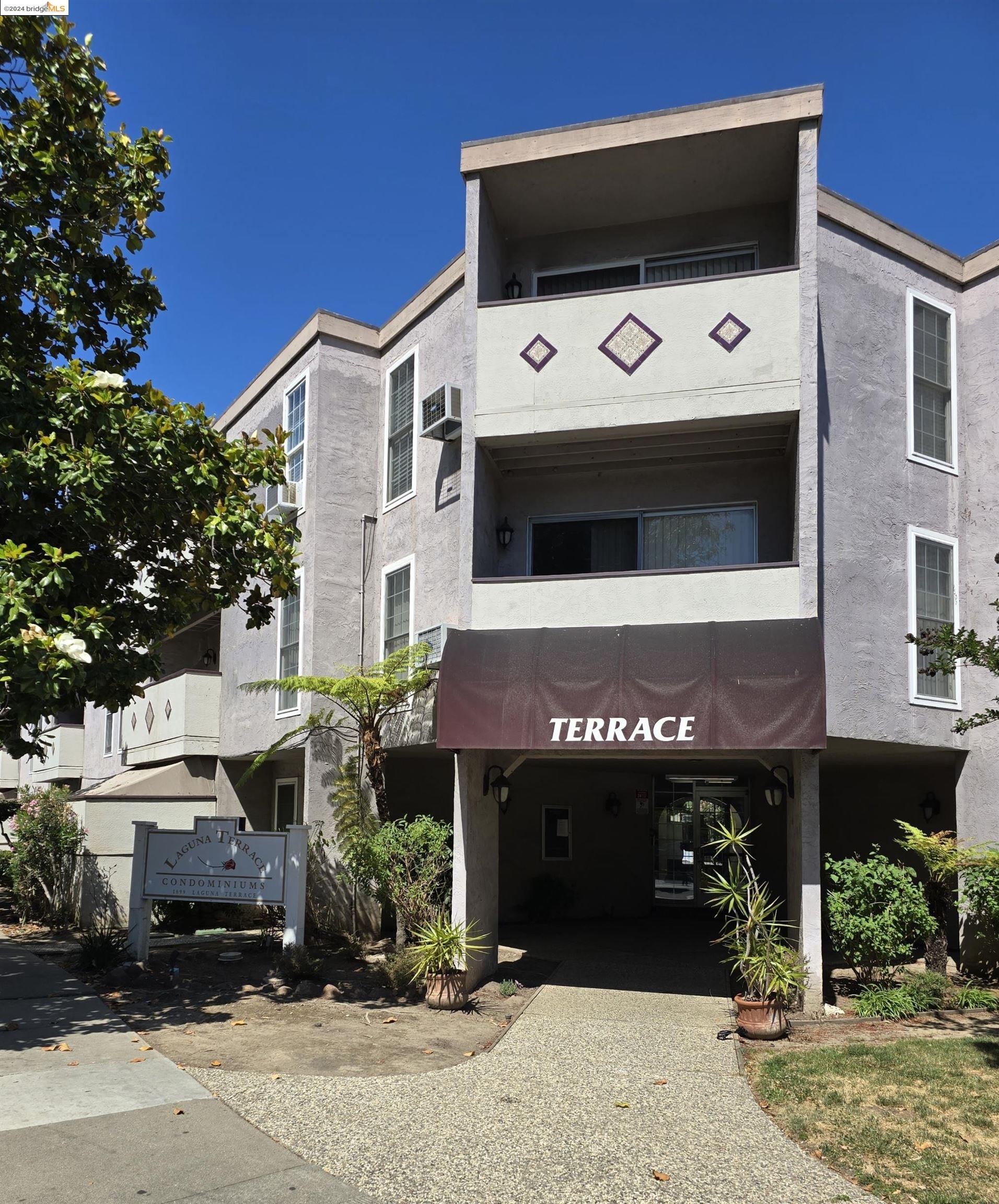 Detail Gallery Image 1 of 20 For 1699 Laguna St #305,  Concord,  CA 94520 - 1 Beds | 1 Baths
