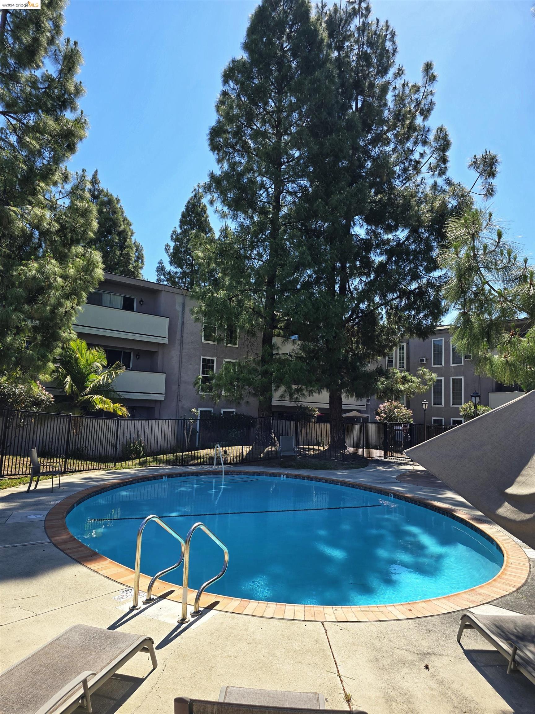 Detail Gallery Image 19 of 20 For 1699 Laguna St #305,  Concord,  CA 94520 - 1 Beds | 1 Baths