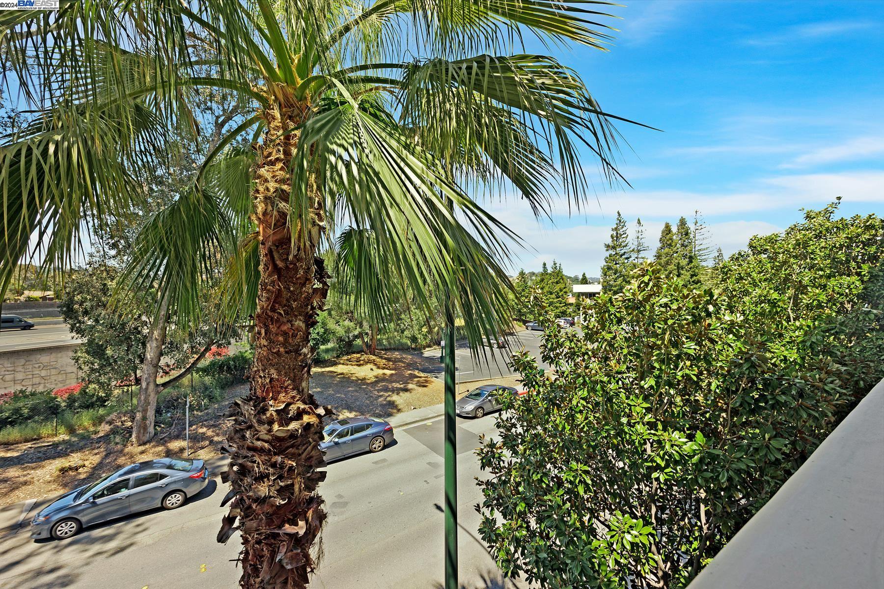 Detail Gallery Image 19 of 34 For 1315 Alma Ave #232,  Walnut Creek,  CA 94596-8521 - 2 Beds | 2 Baths