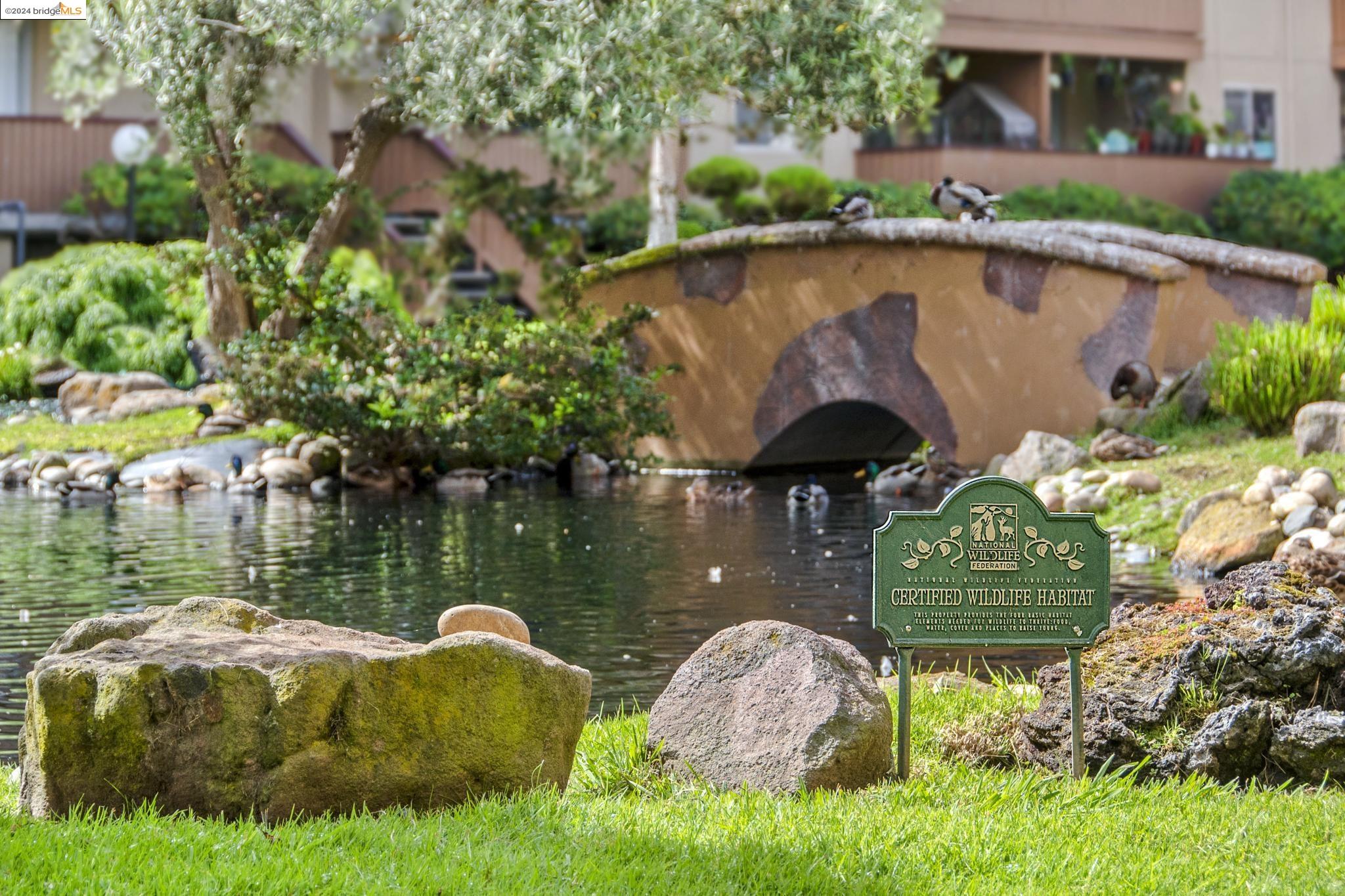 Photo #5: 41061702 Listing 
