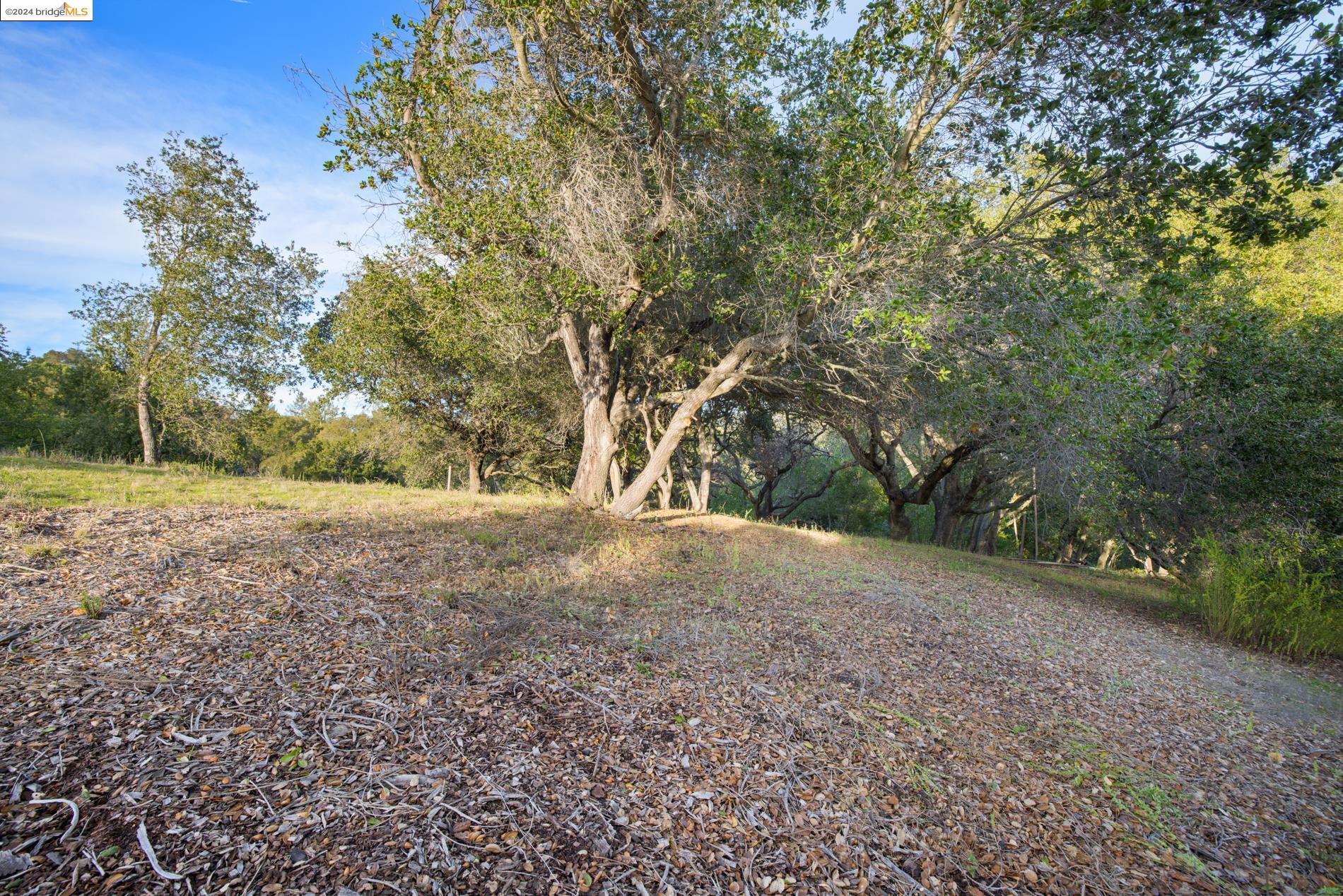 105 Barbara Rd