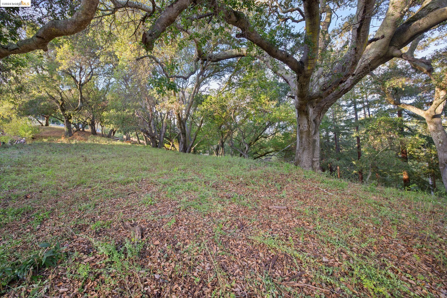 105 Barbara Rd