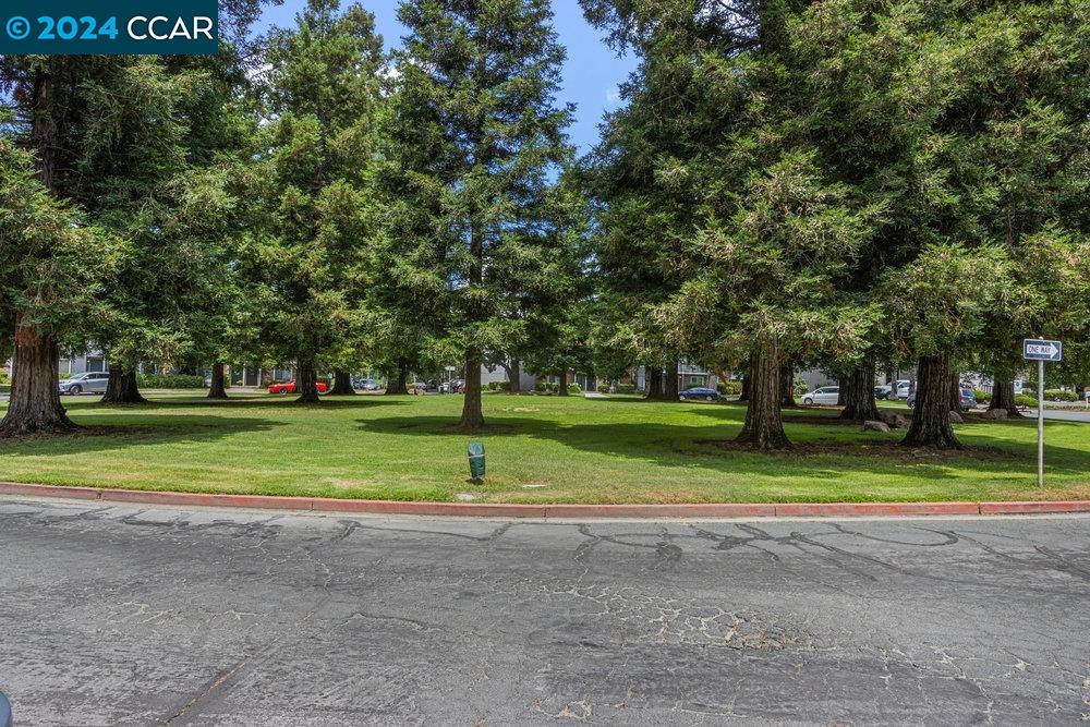 Photo #2: 41063406 Listing 
