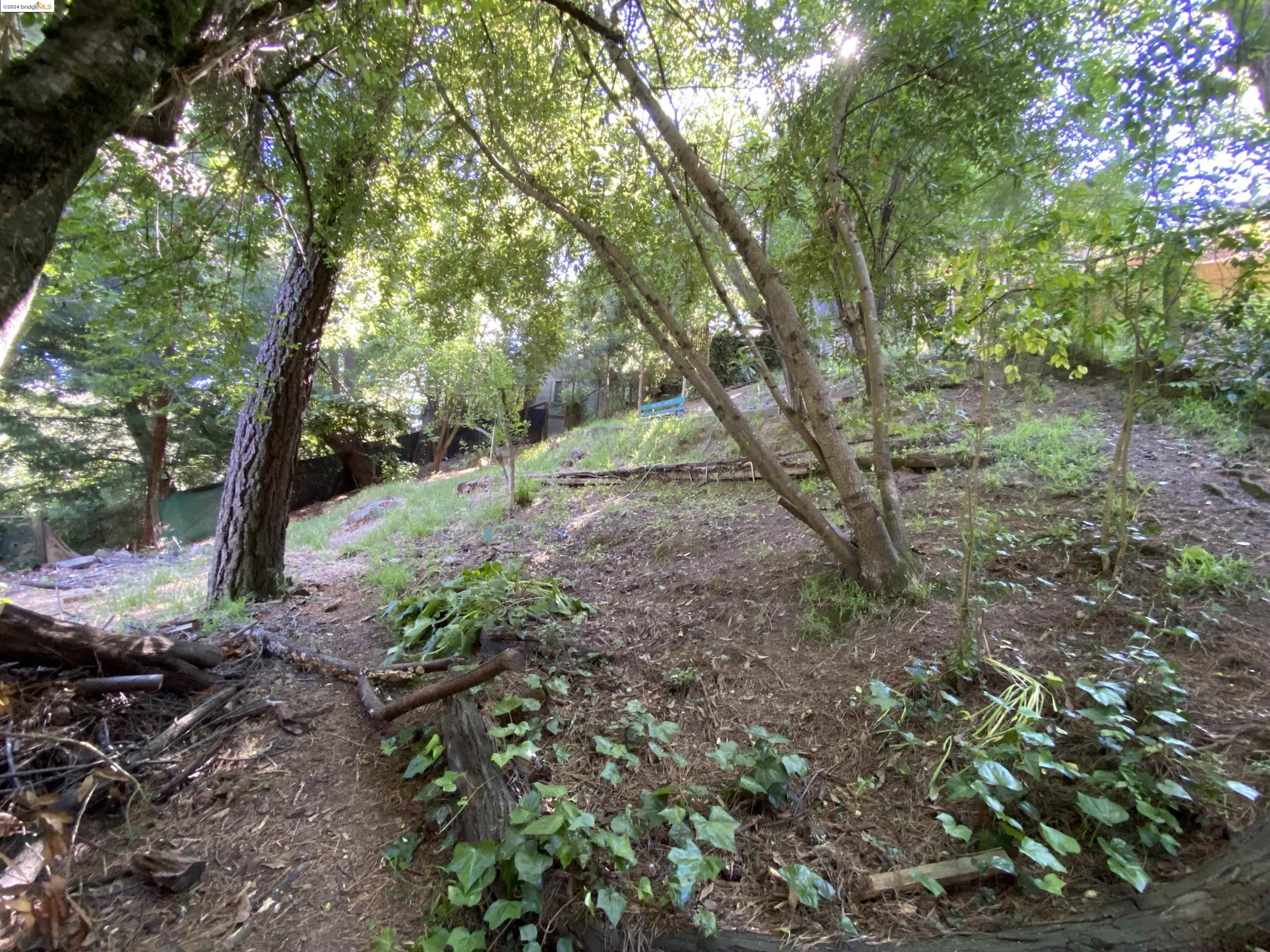 00 Skyline Blvd.