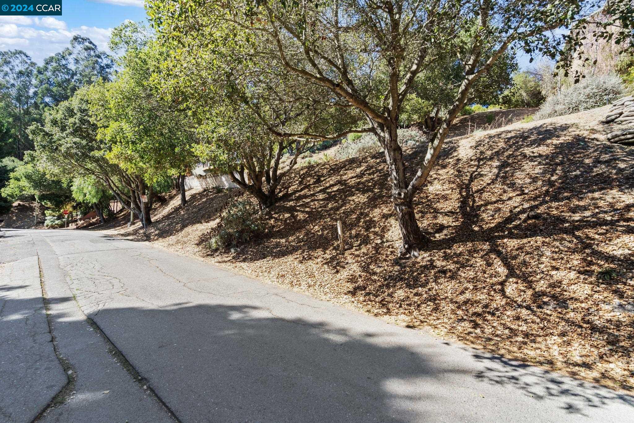 Detail Gallery Image 12 of 20 For 7039 Buckingham Blvd, Berkeley,  CA 94705 - – Beds | – Baths