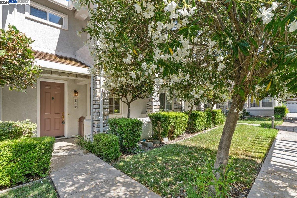 Photo #2: 41065877 Listing 