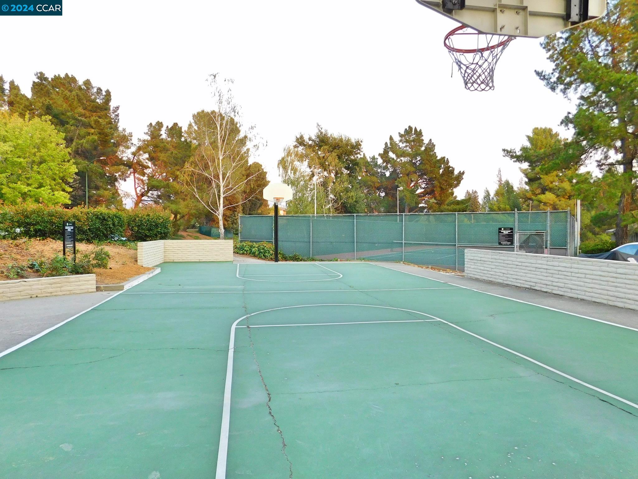 Photo #6: 41066286 Listing 
