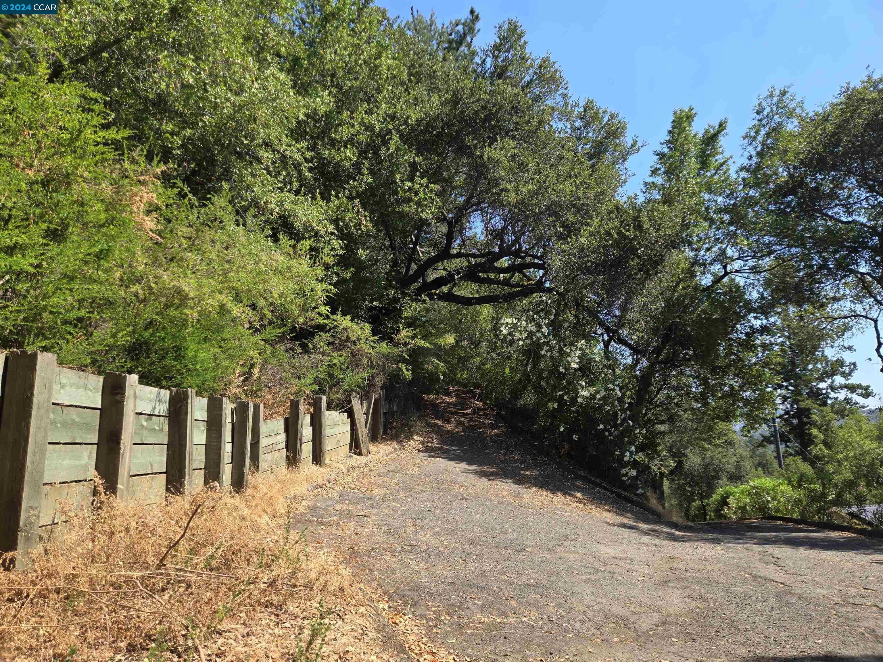Detail Gallery Image 1 of 27 For 100 Black Log Rd, Kentfield,  CA 94904 - – Beds | – Baths