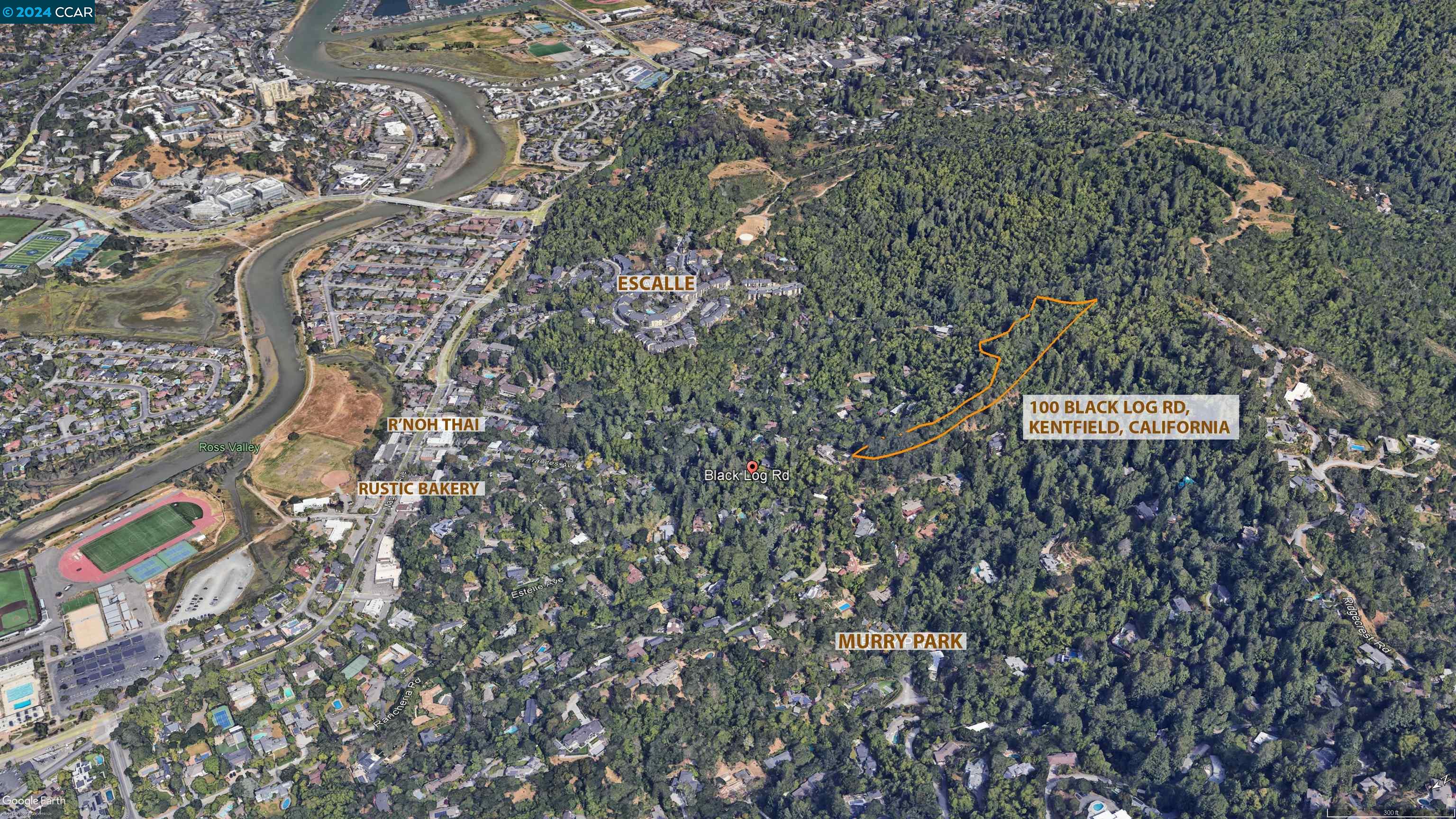 Detail Gallery Image 12 of 27 For 100 Black Log Rd, Kentfield,  CA 94904 - – Beds | – Baths