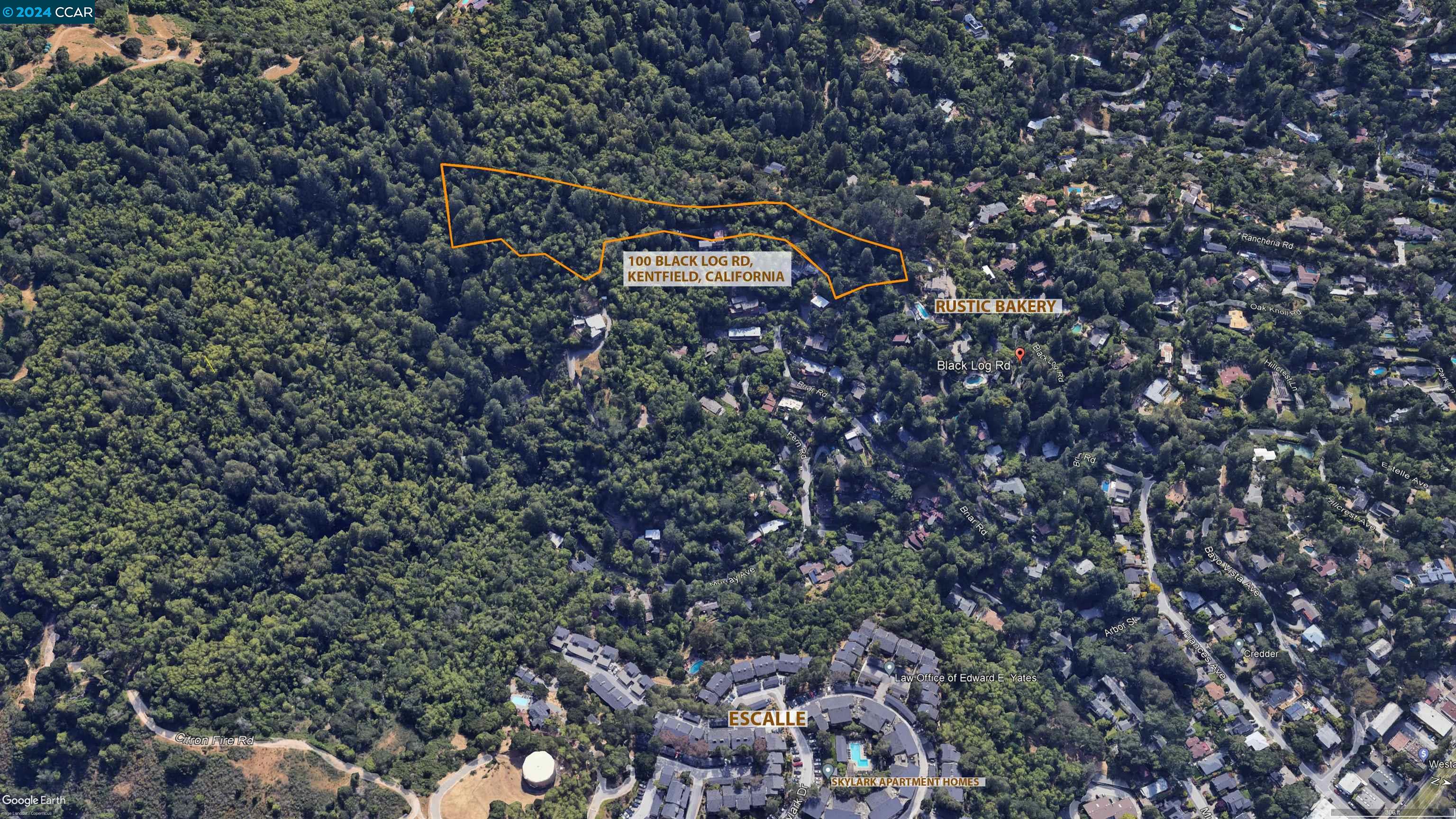 Detail Gallery Image 13 of 27 For 100 Black Log Rd, Kentfield,  CA 94904 - – Beds | – Baths