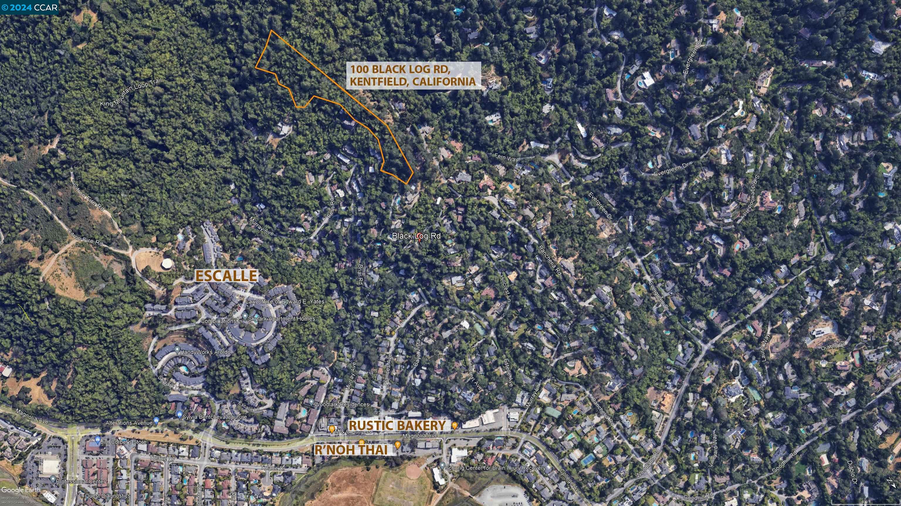Detail Gallery Image 14 of 27 For 100 Black Log Rd, Kentfield,  CA 94904 - – Beds | – Baths