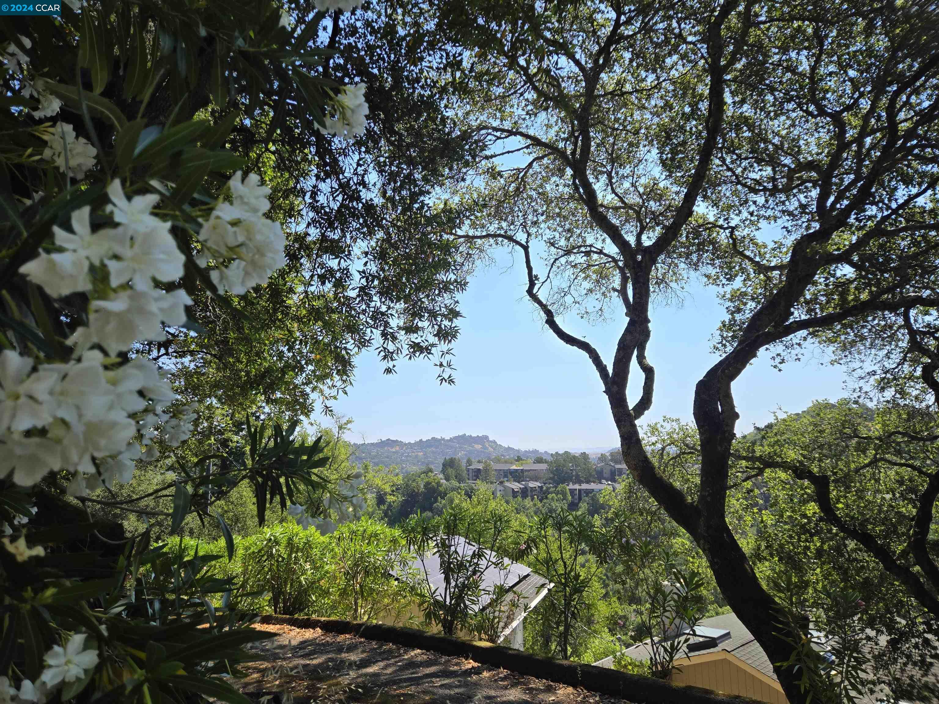 Detail Gallery Image 25 of 27 For 100 Black Log Rd, Kentfield,  CA 94904 - – Beds | – Baths