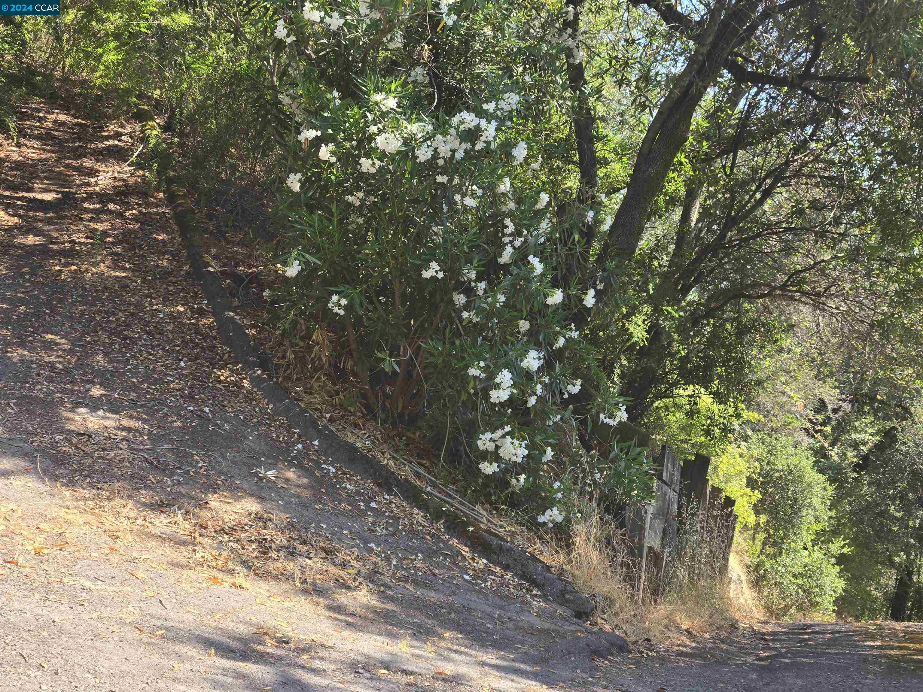 Detail Gallery Image 4 of 27 For 100 Black Log Rd, Kentfield,  CA 94904 - – Beds | – Baths