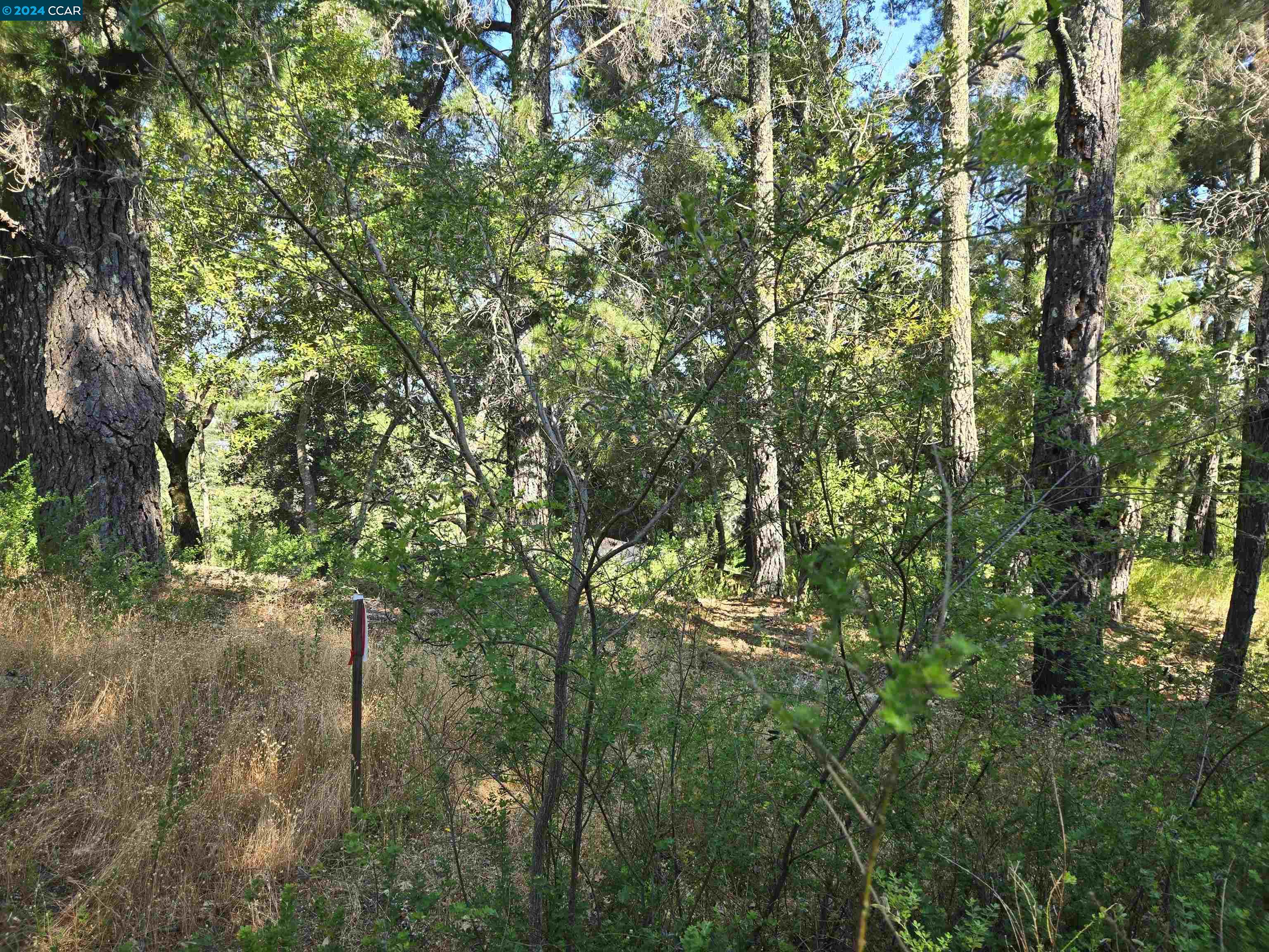 Detail Gallery Image 5 of 27 For 100 Black Log Rd, Kentfield,  CA 94904 - – Beds | – Baths