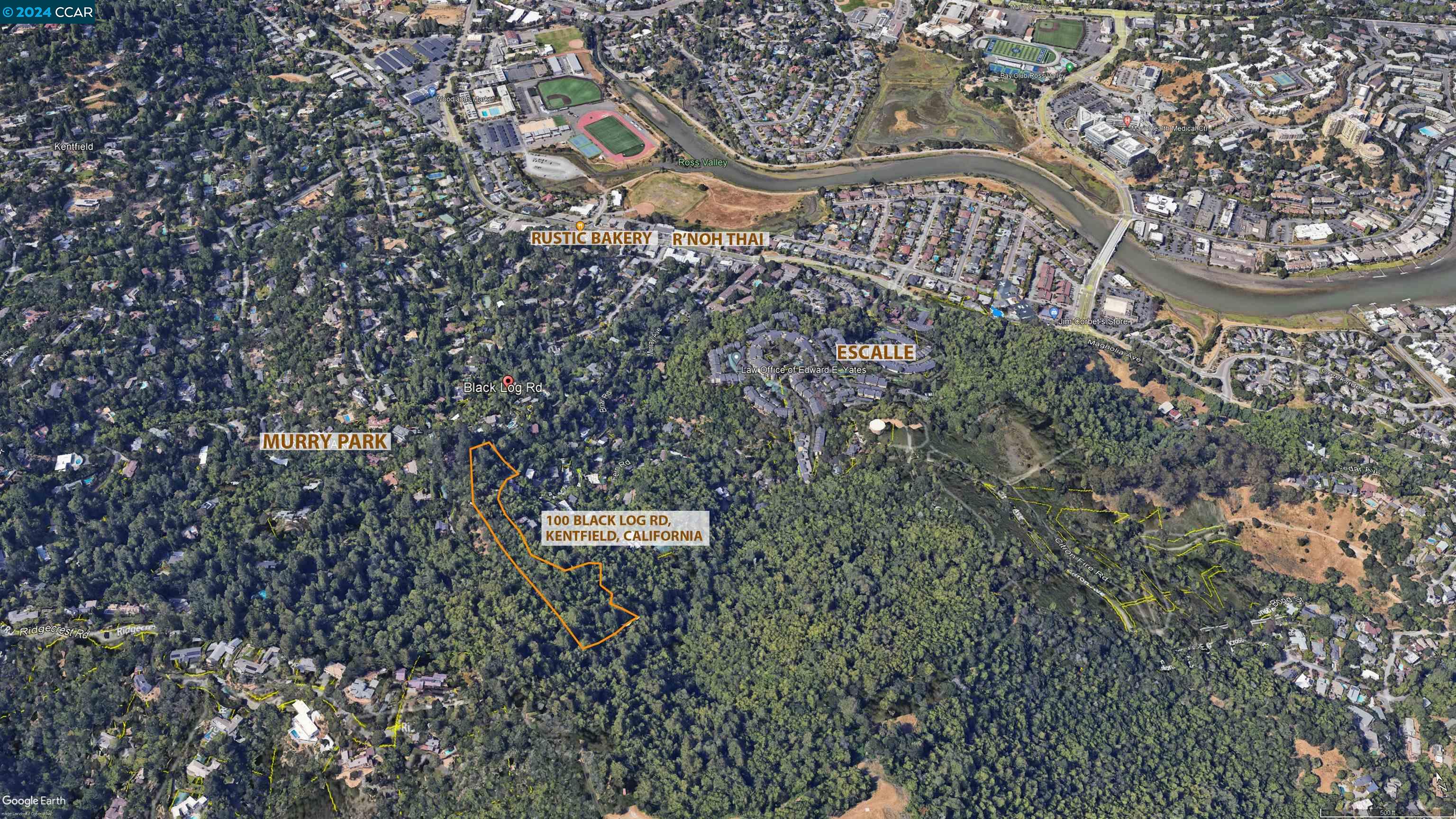 Detail Gallery Image 8 of 27 For 100 Black Log Rd, Kentfield,  CA 94904 - – Beds | – Baths