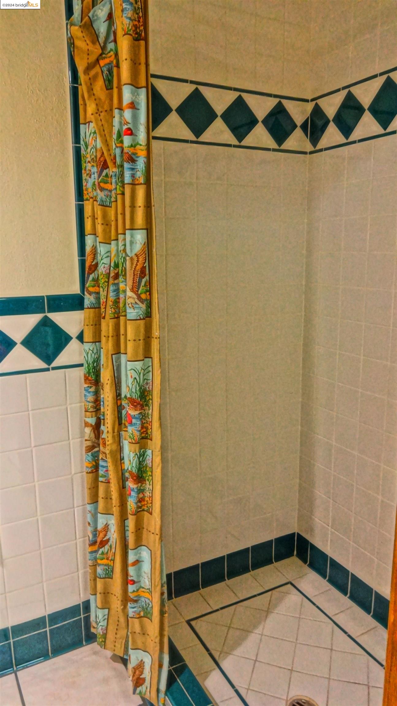 Detail Gallery Image 4 of 4 For 609 San Pablo Ave, Albany,  CA 94706 - – Beds | – Baths