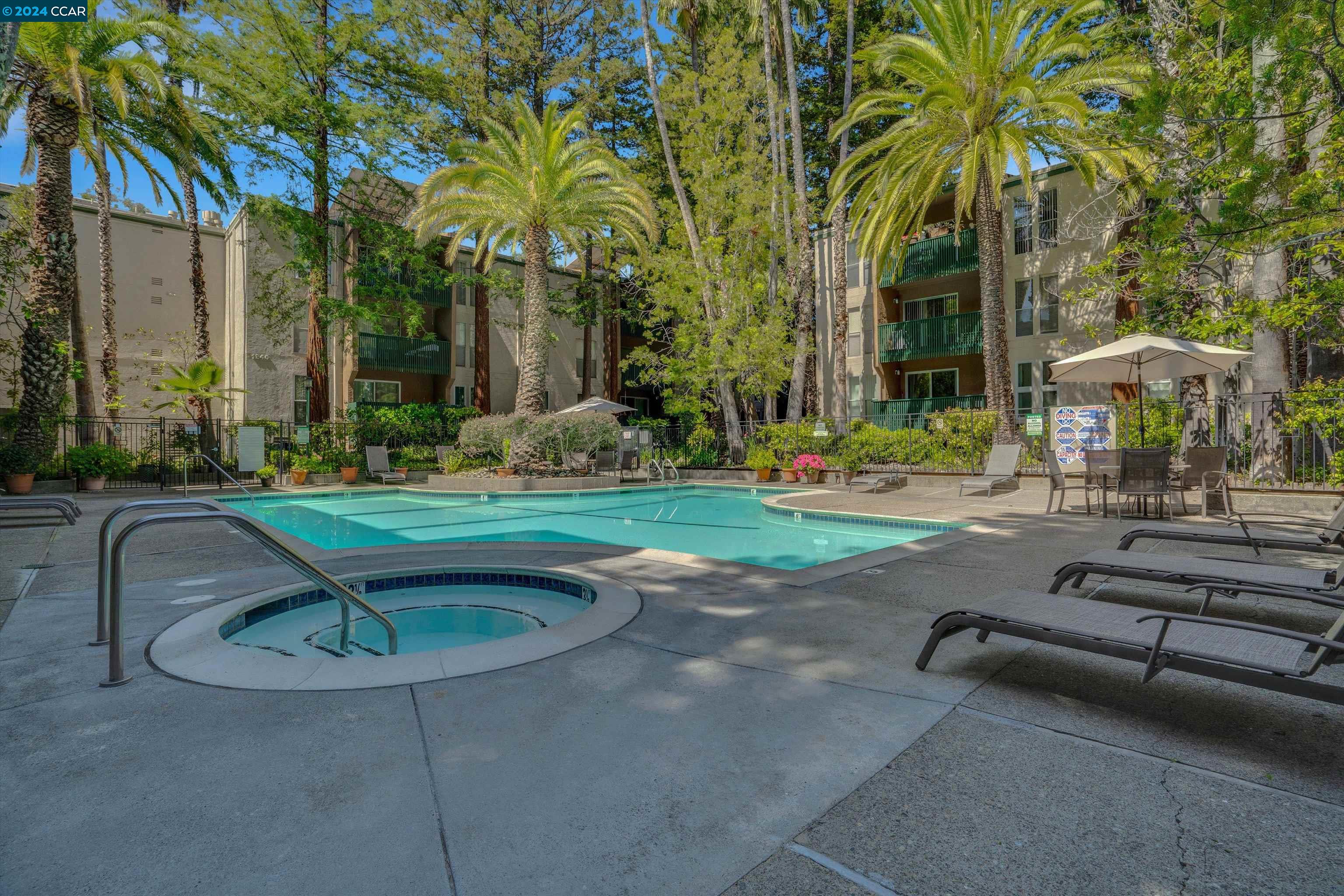 Detail Gallery Image 21 of 32 For 155 Sharene Lane #313,  Walnut Creek,  CA 94596 - 1 Beds | 1 Baths