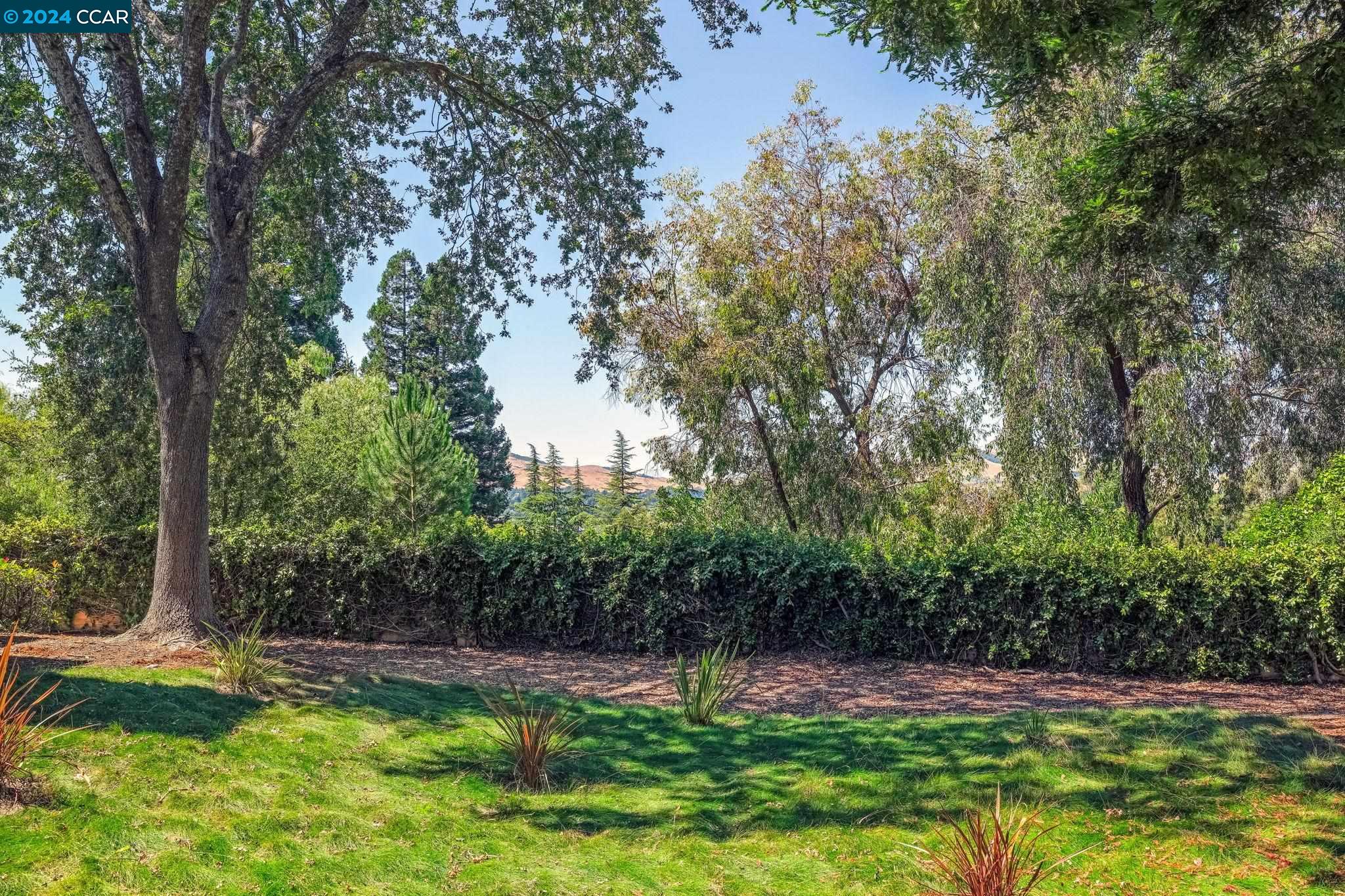 Photo #4: 41069377 Listing 