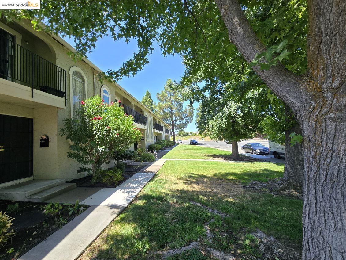 Photo #3: 41069456 Listing 