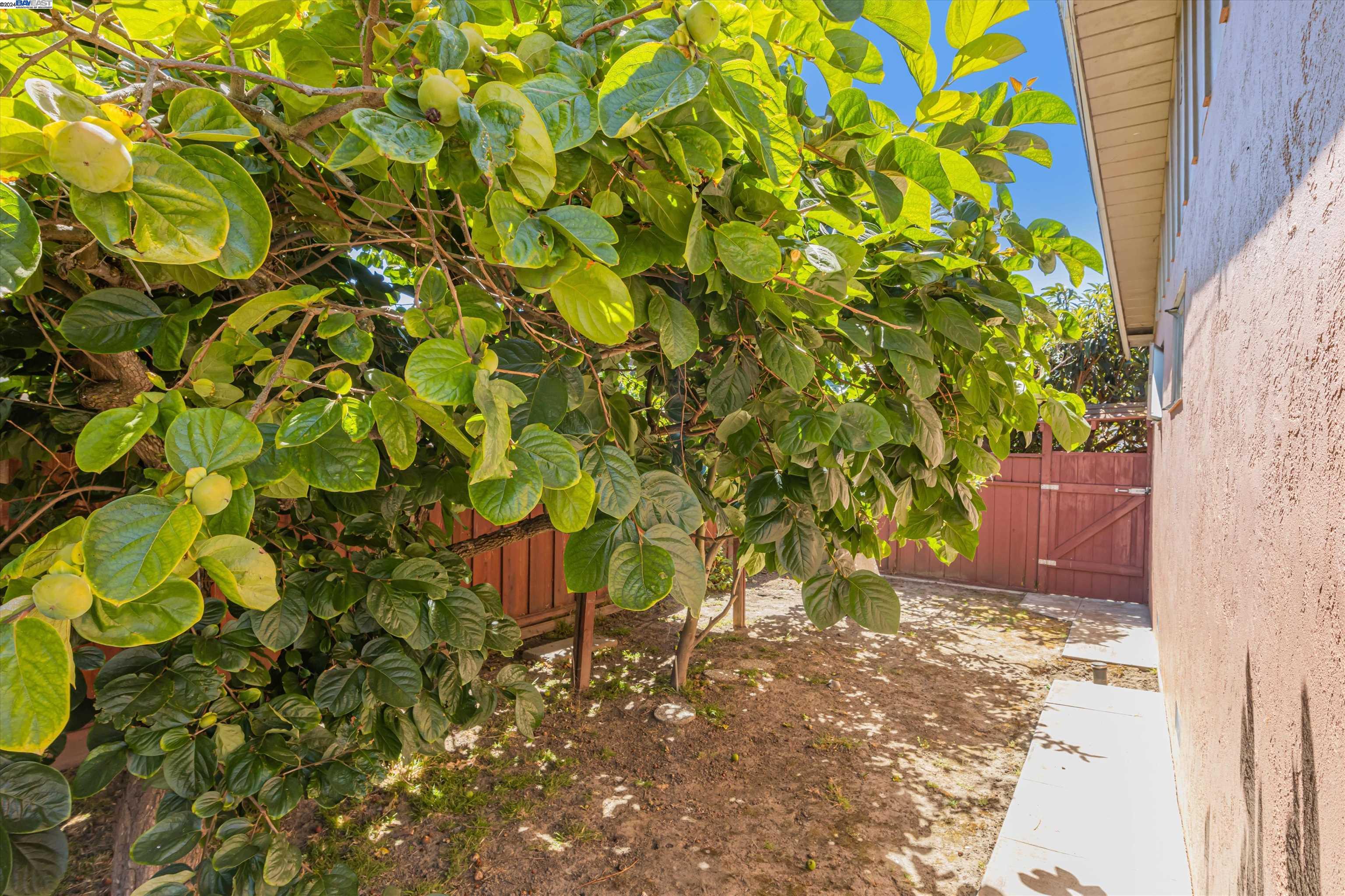 Detail Gallery Image 29 of 36 For 1943 Vining Dr, San Leandro,  CA 94579 - 3 Beds | 2 Baths