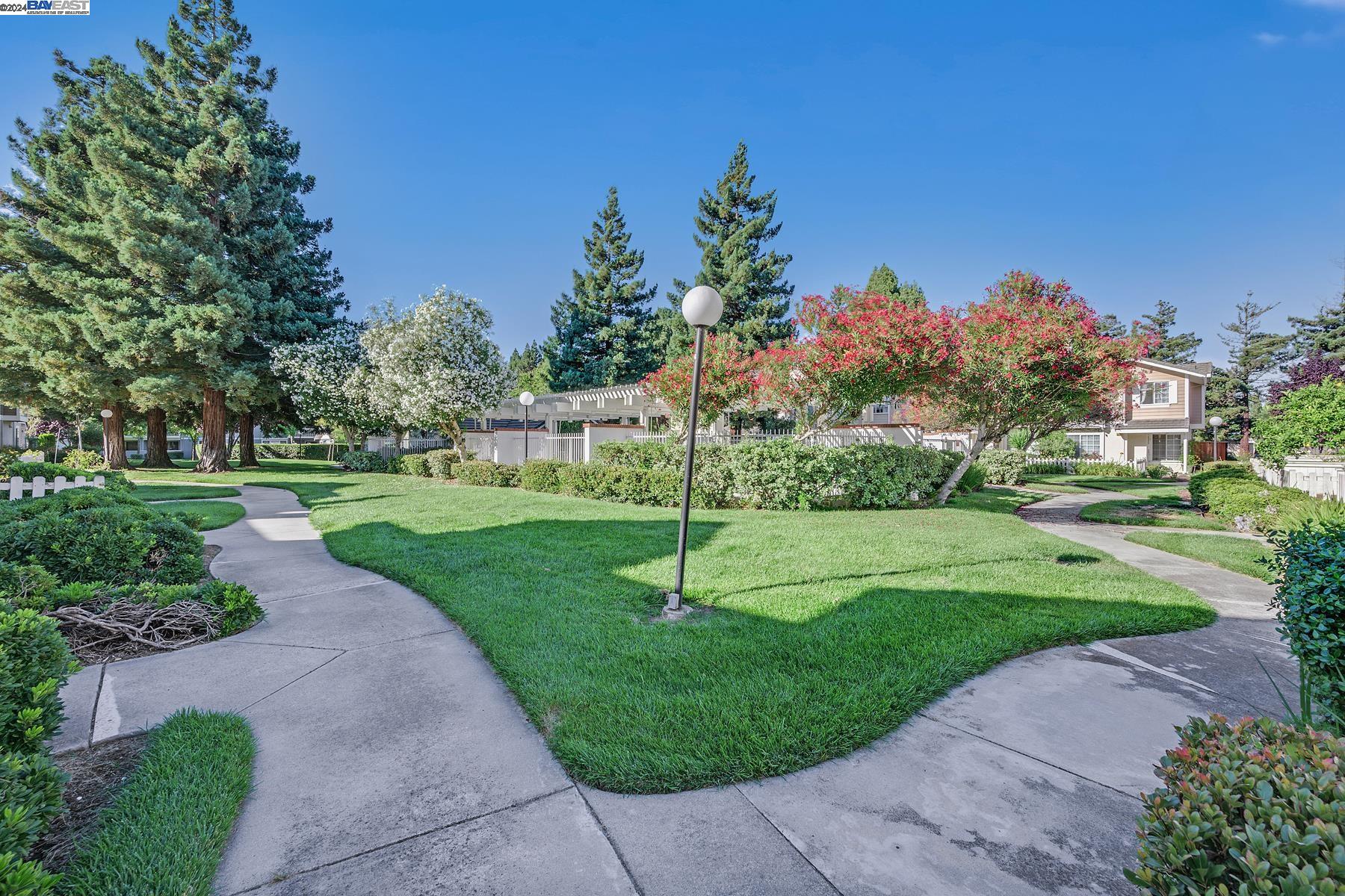 Photo #2: 41070616 Listing 