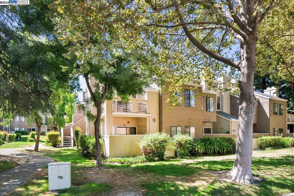 Photo #5: 41072300 Listing 