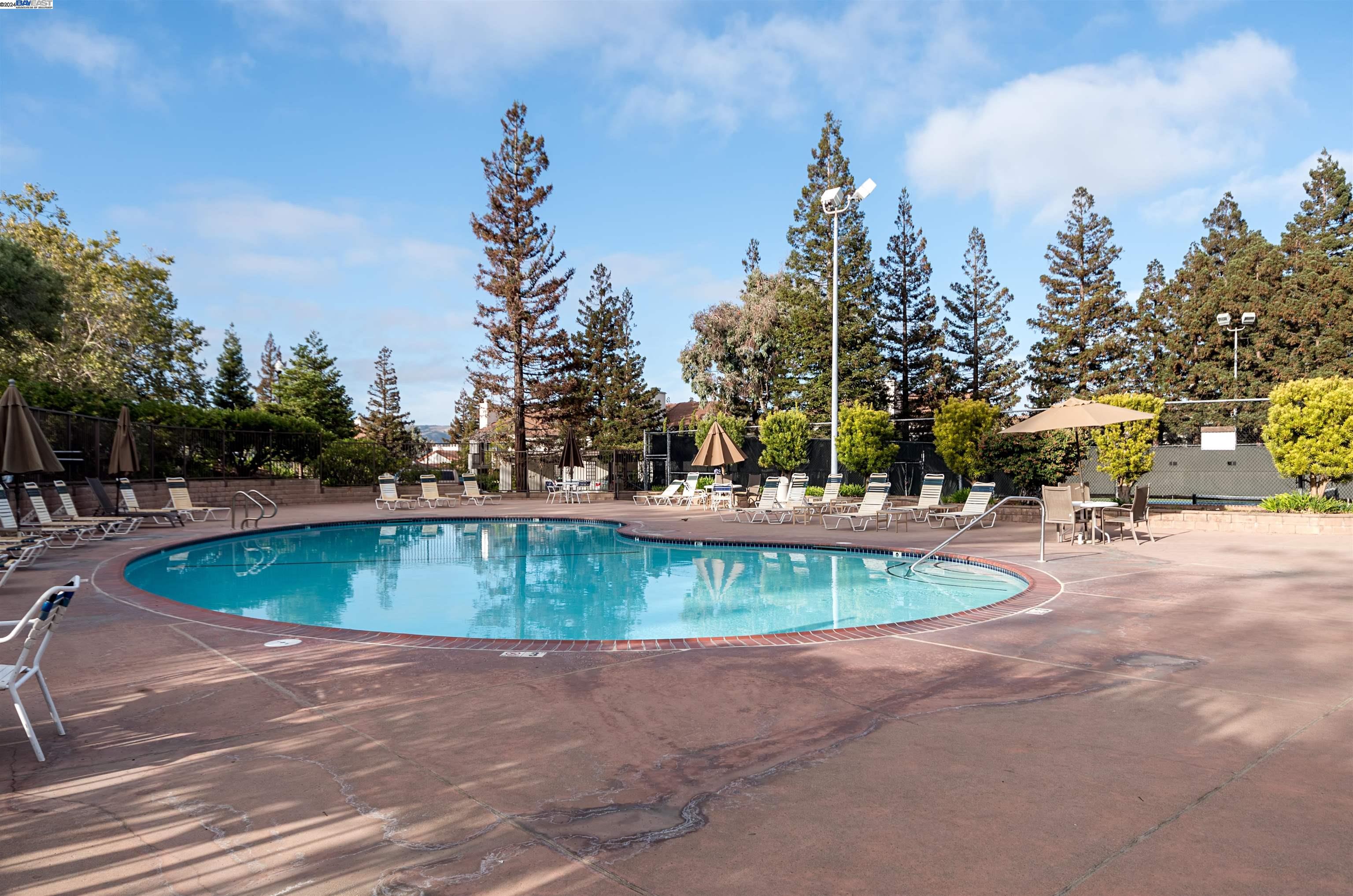 Photo #42: 41072344 Listing: Photo #42