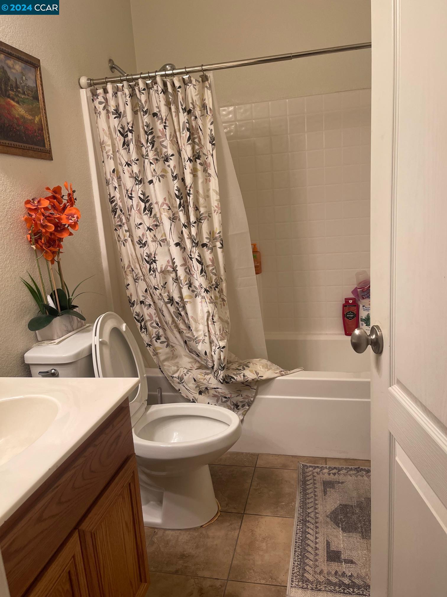 Detail Gallery Image 9 of 30 For 238 American Farms Ave, Lathrop,  CA 95330 - 4 Beds | 3 Baths