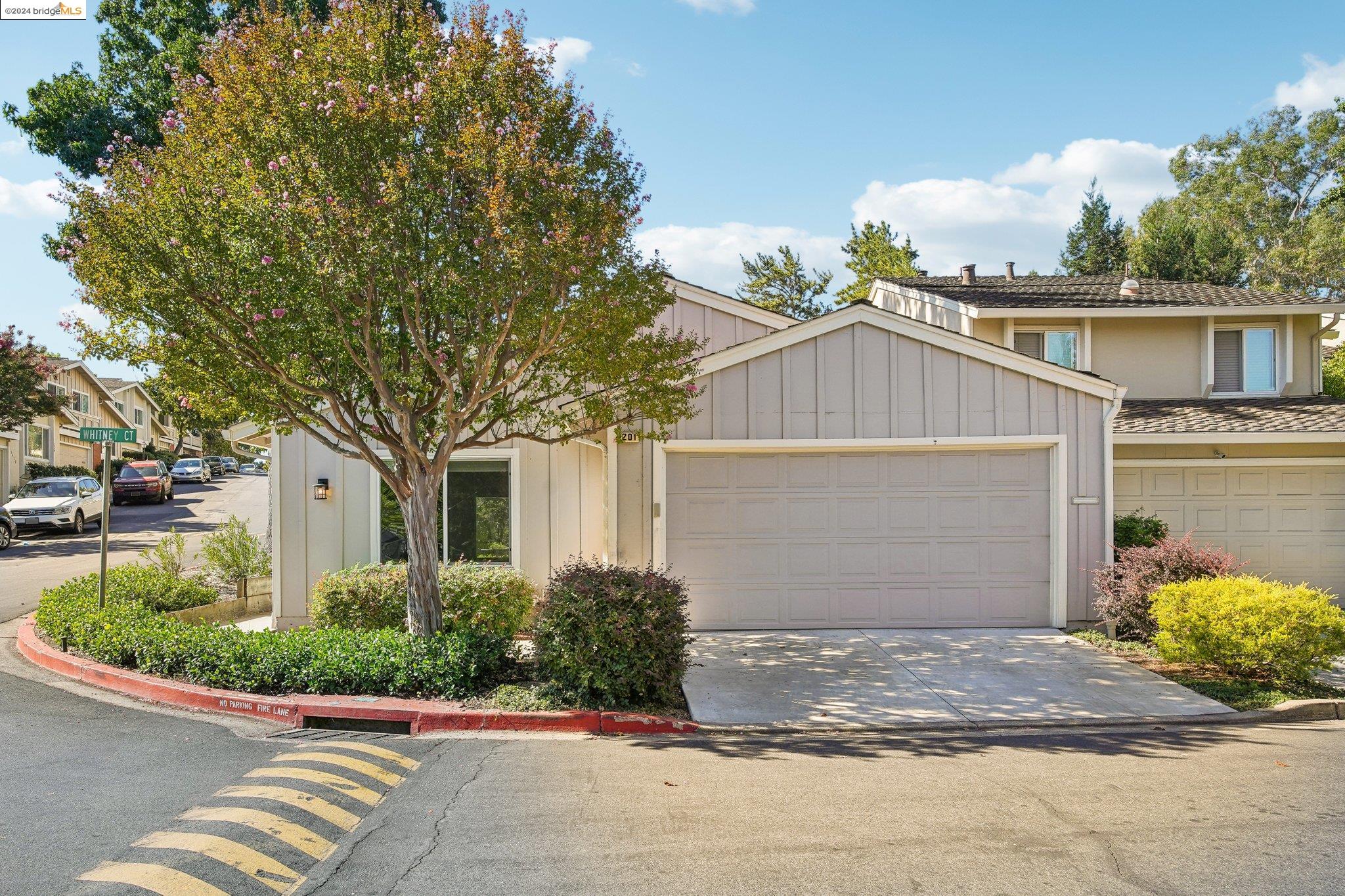 Photo #2: 41073199 Listing 