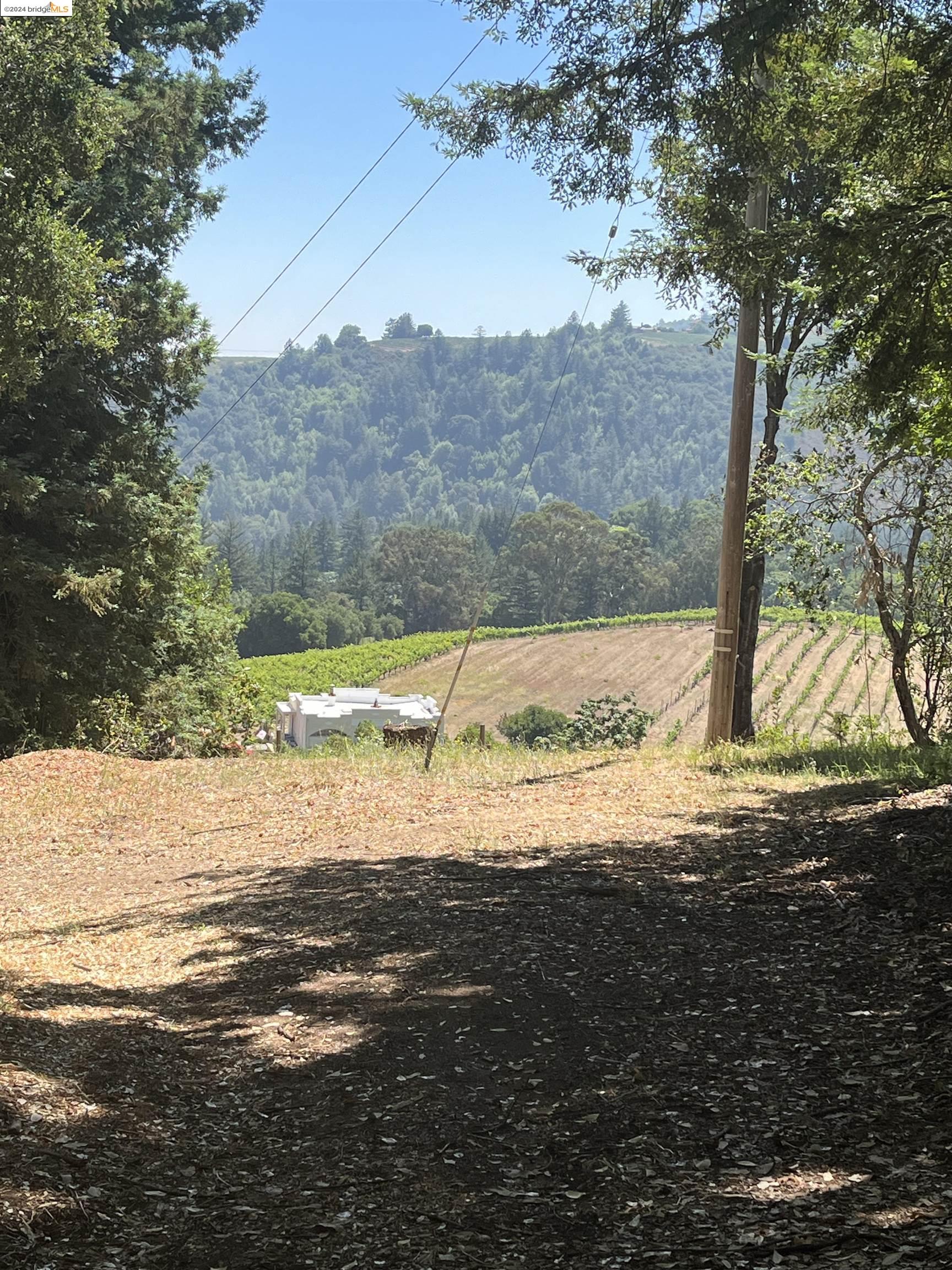 Detail Gallery Image 16 of 49 For 0 Congress Springs Rd, Saratoga,  CA 95070 - – Beds | – Baths