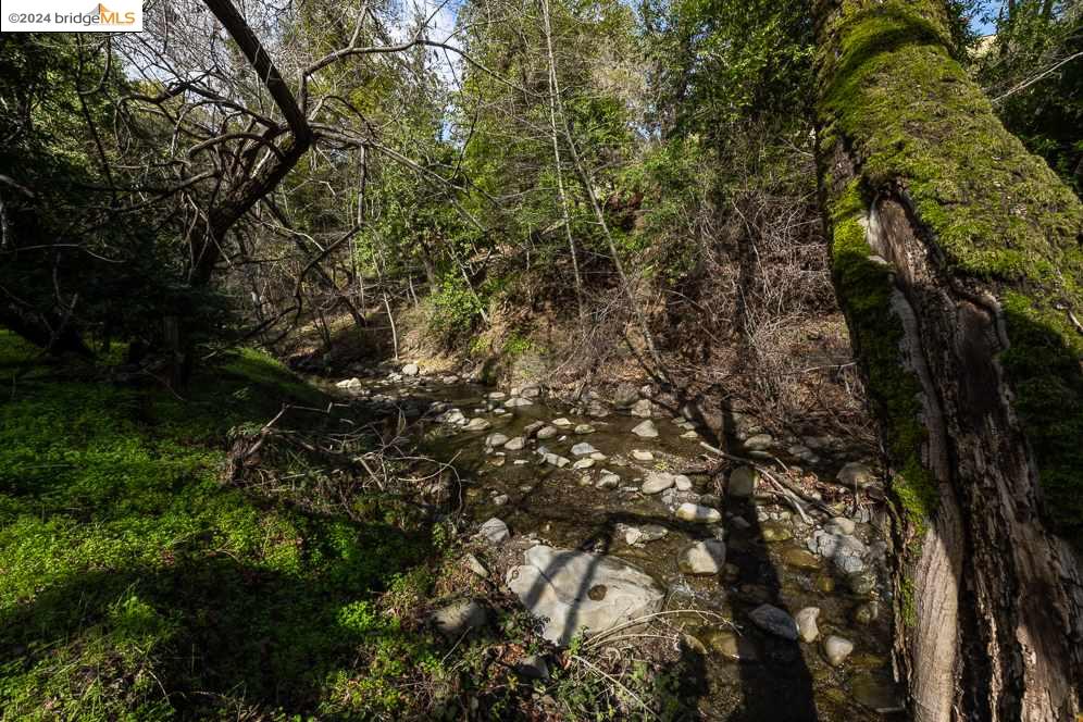 Detail Gallery Image 33 of 49 For 0 Congress Springs Rd, Saratoga,  CA 95070 - – Beds | – Baths