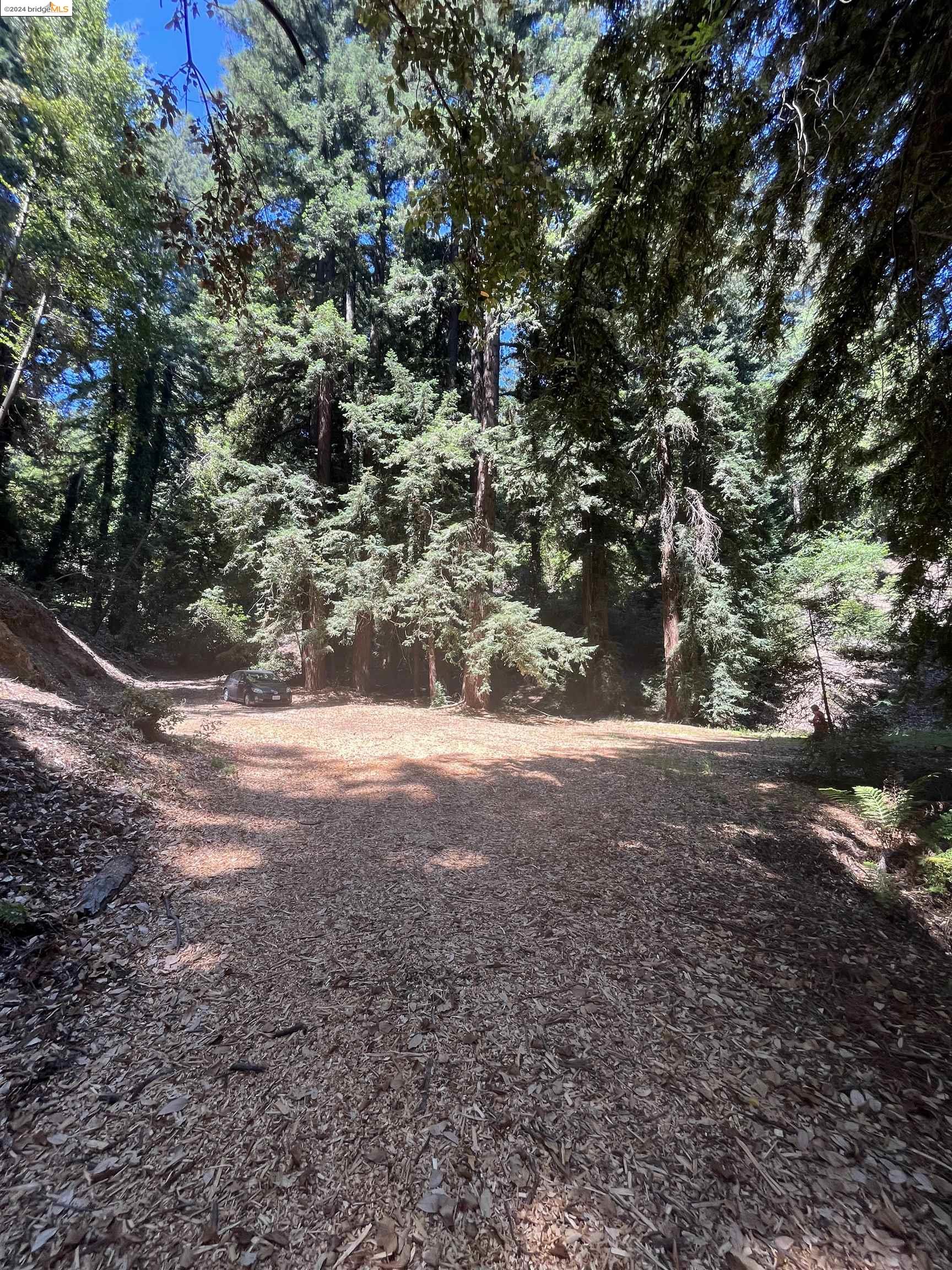 Detail Gallery Image 40 of 49 For 0 Congress Springs Rd, Saratoga,  CA 95070 - – Beds | – Baths