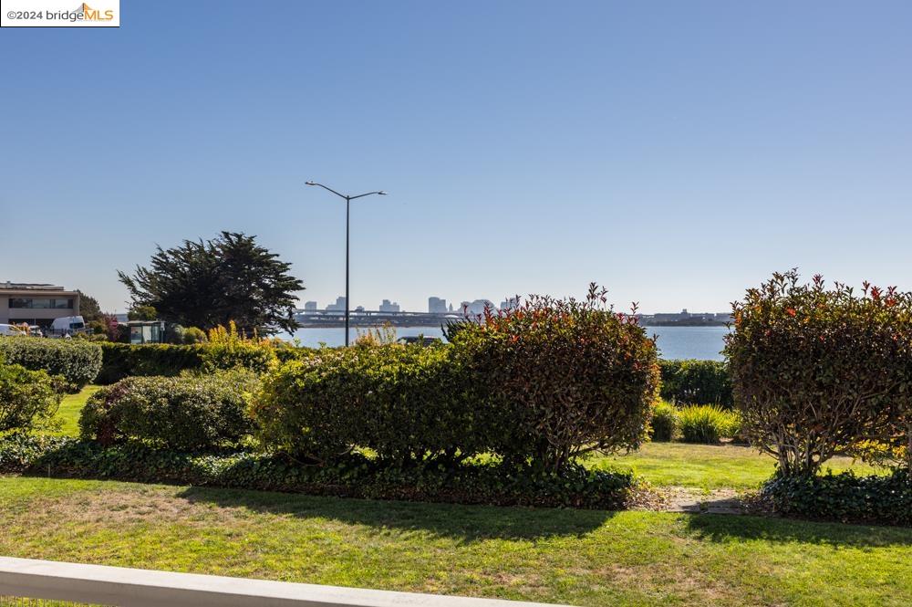 Photo #5: 41073522 Listing 