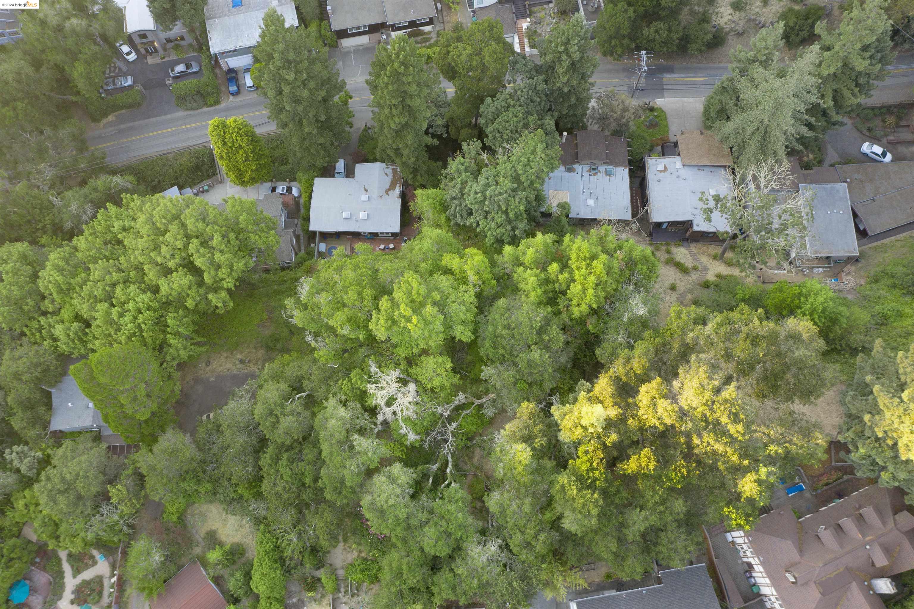 Detail Gallery Image 6 of 10 For 0 Thornhill Dr, Oakland,  CA 94603 - – Beds | – Baths