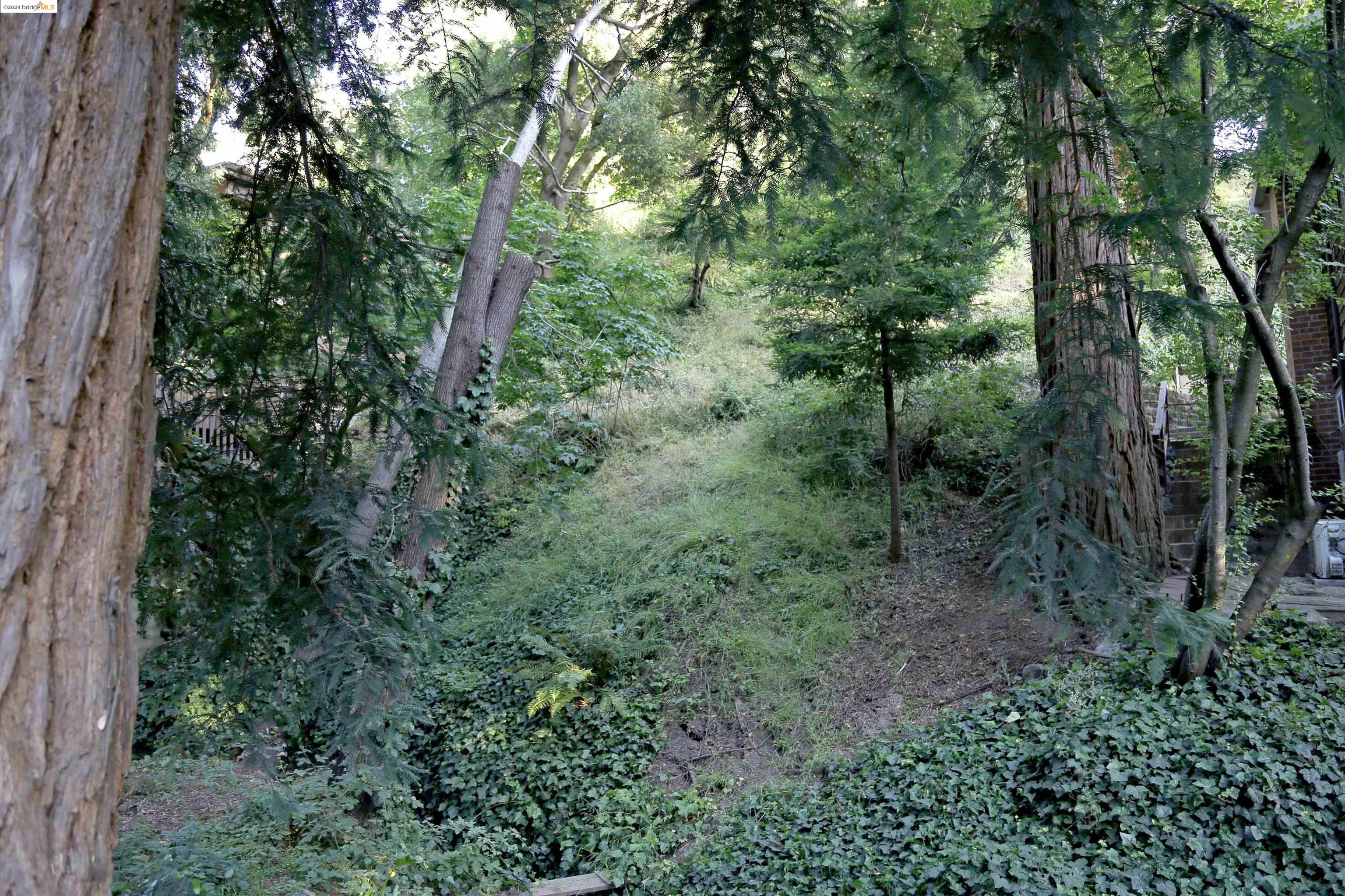 Detail Gallery Image 8 of 10 For 0 Thornhill Dr, Oakland,  CA 94603 - – Beds | – Baths