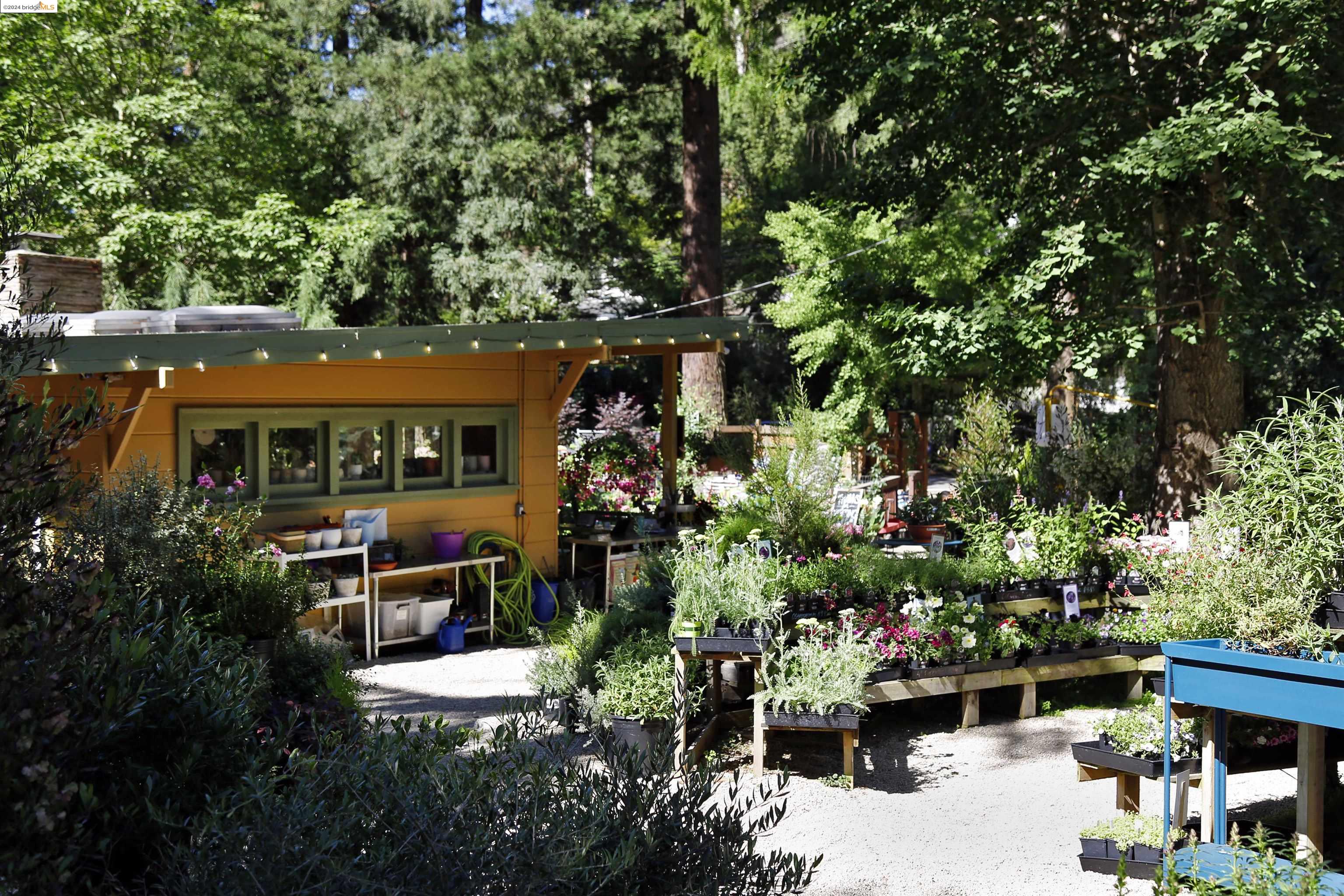 Detail Gallery Image 9 of 10 For 0 Thornhill Dr, Oakland,  CA 94603 - – Beds | – Baths